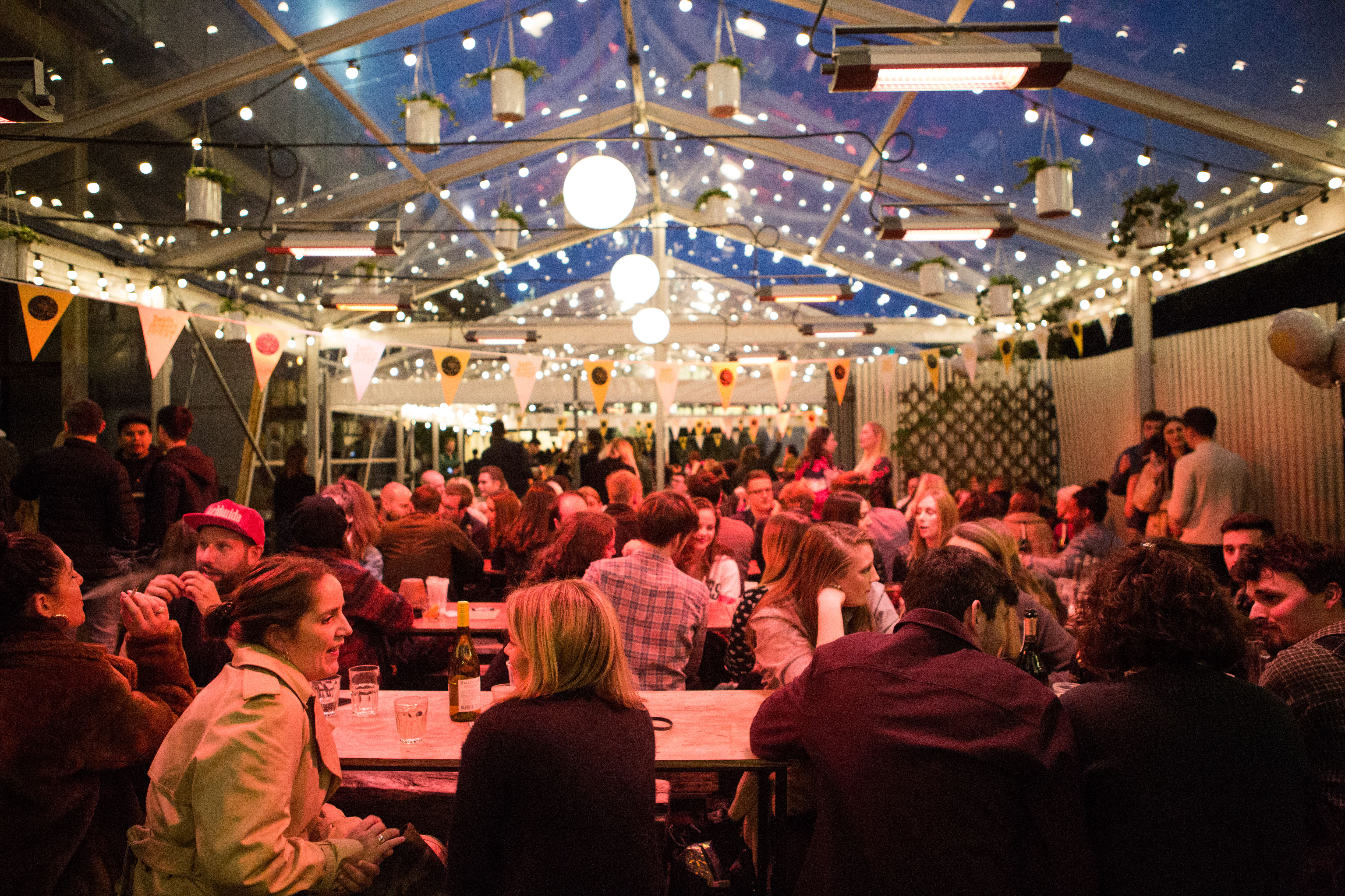 Palm House - 5sh3sl1fu3z.jpg