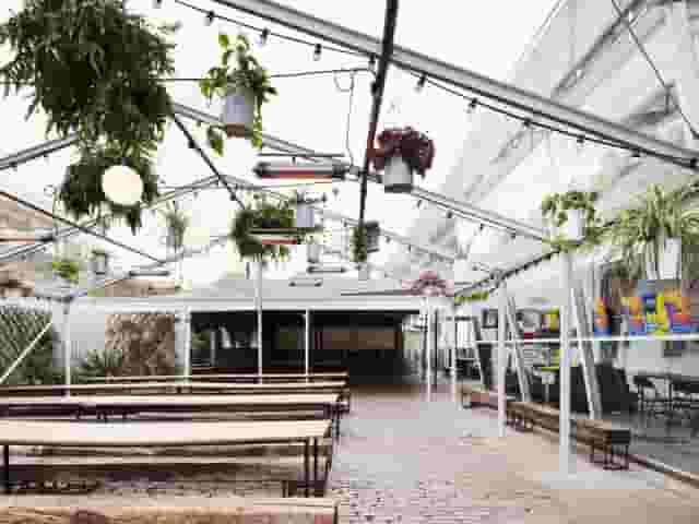 Palm House
