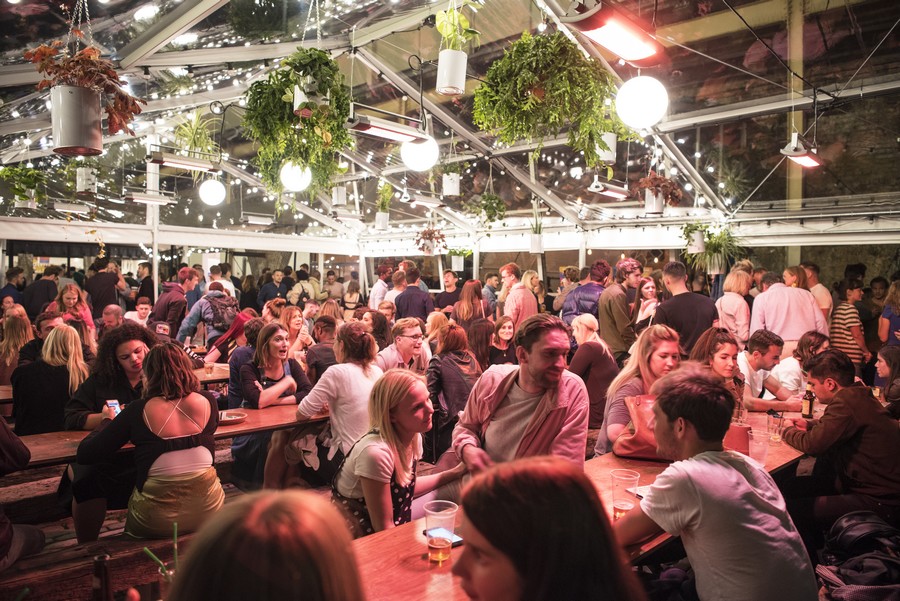 Palm House - m5kxuyg5elq.jpg