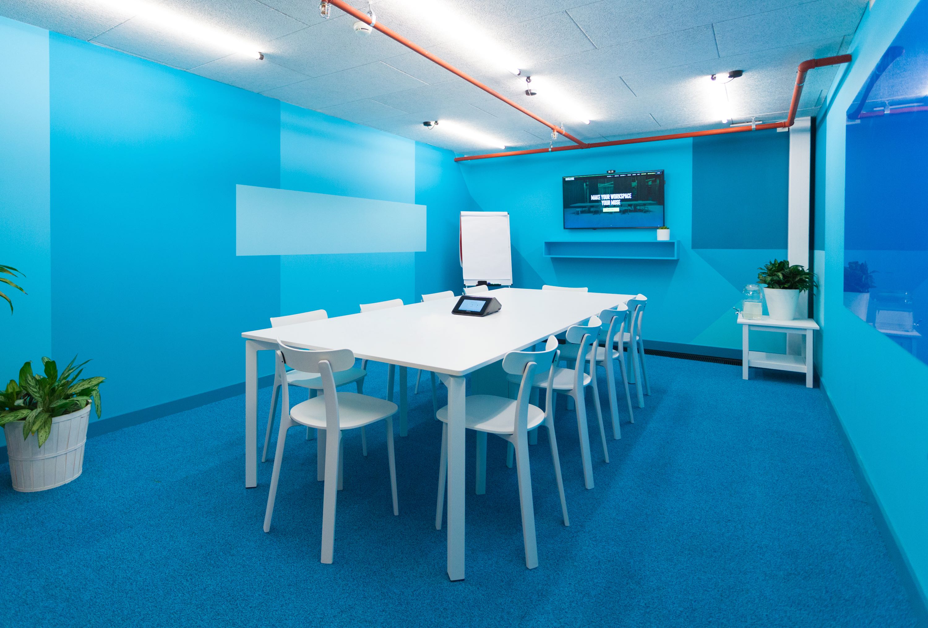 Modern meeting room with blue walls, ideal for collaborative brainstorming sessions.