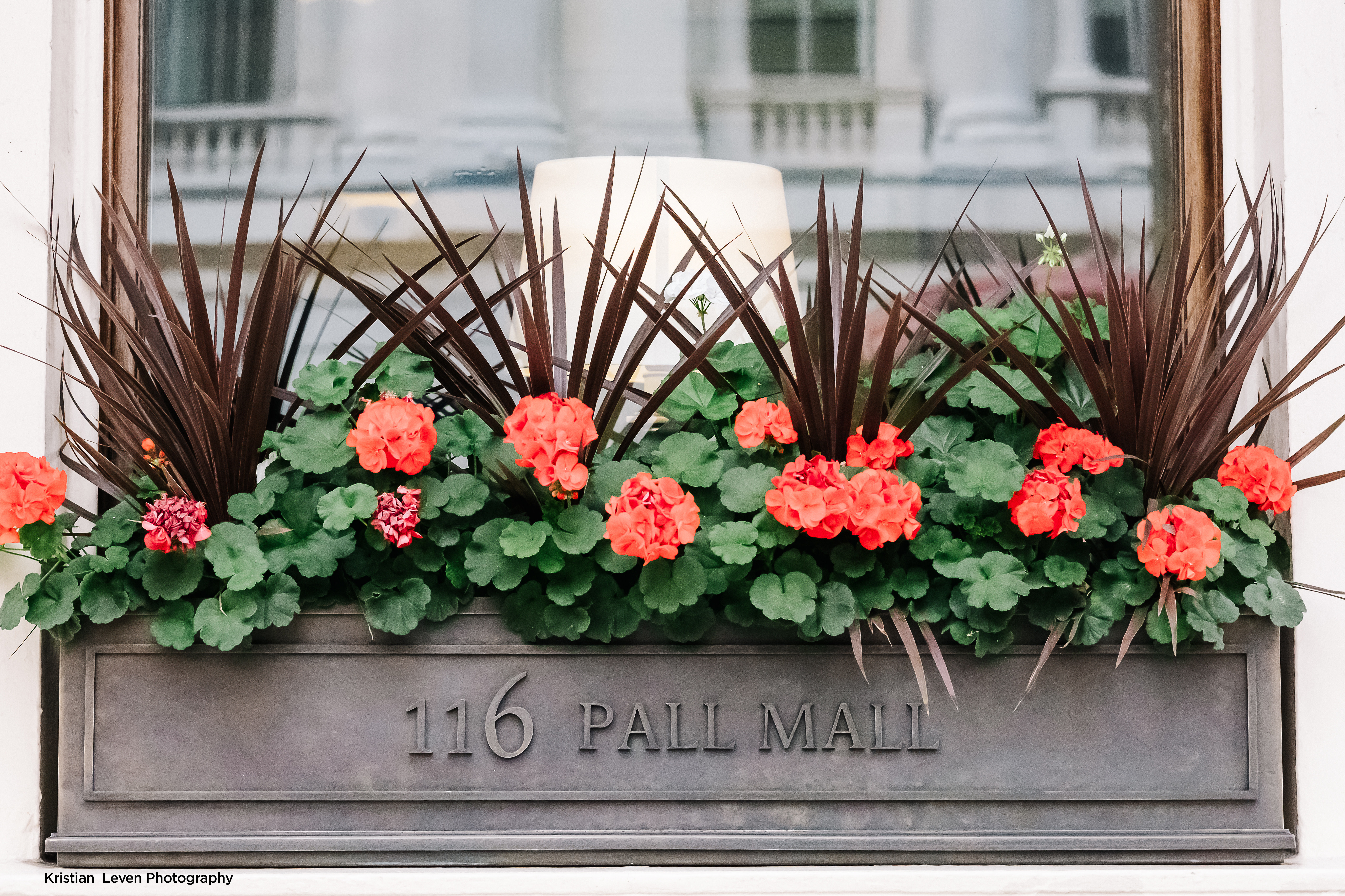 Vibrant red flowers in window box at 116 Pall Mall, perfect for events and photography.
