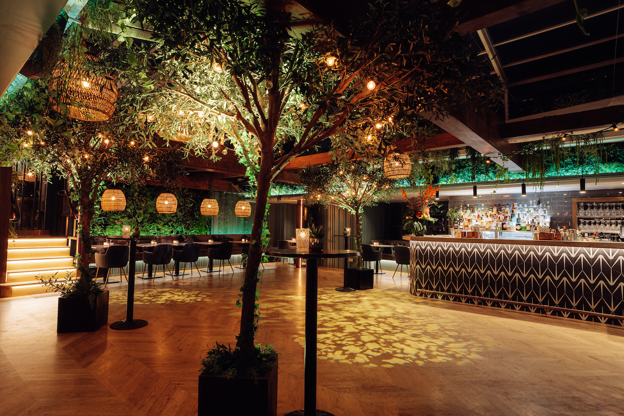 Rooftop Terrace  (with retractable glass roof) - aiatm4f5bj1.jpg