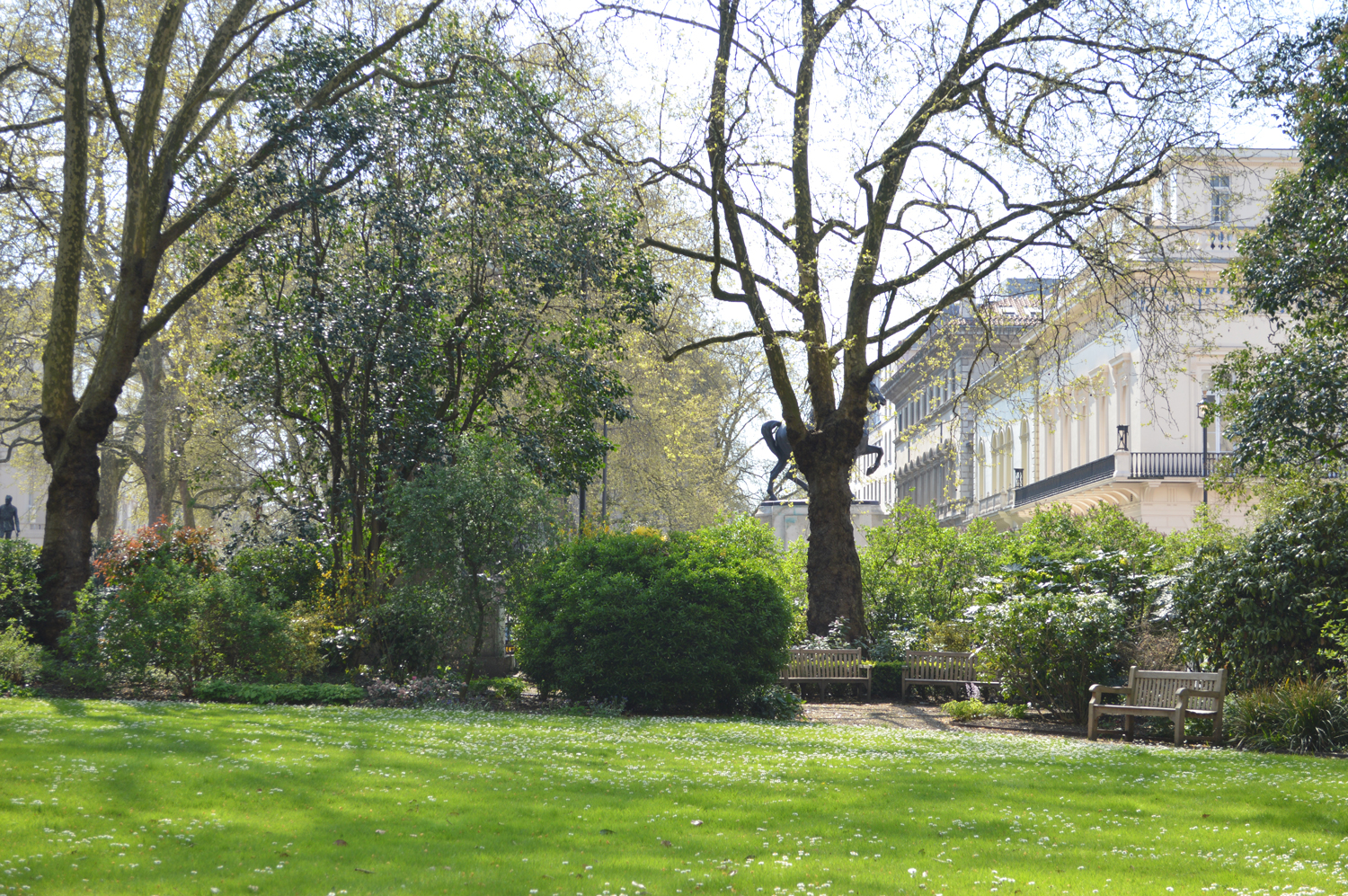 Serene Carlton Room outdoor space with lush greenery for networking events.
