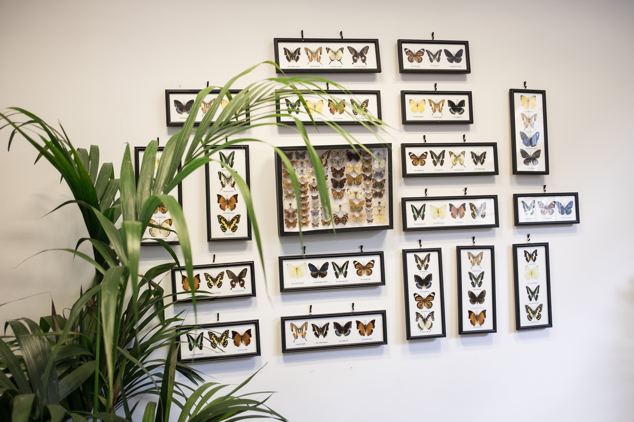 Our Themed Rooms - 0tvi2vgyycn.jpg