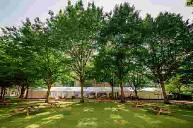 Summer Marquee in The Walks