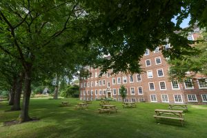 Summer Marquee in The Walks - parfk5qf0z4.jpg