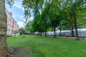 Summer Marquee in The Walks - pq05cbwuohj.jpg