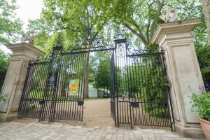 Summer Marquee in The Walks - ubwzlyufgfj.jpg