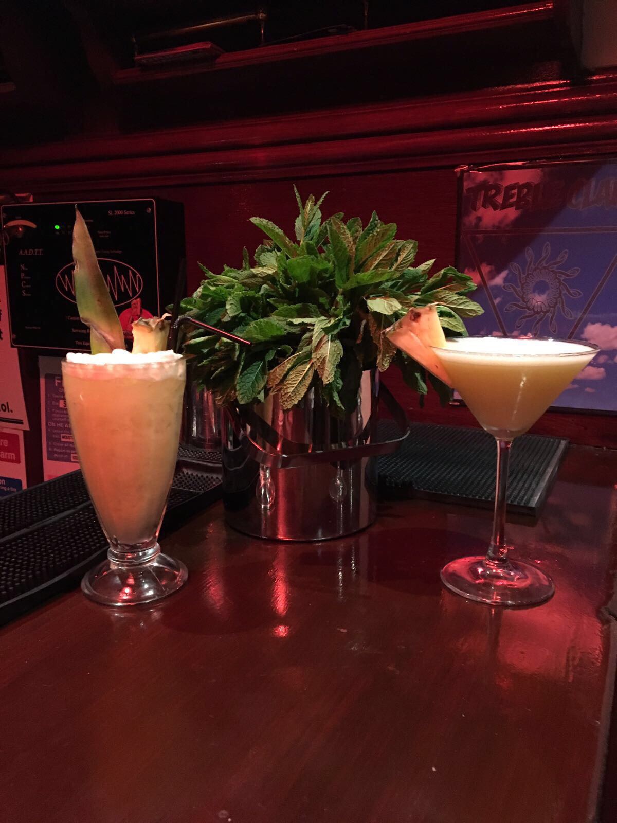 "Crafted cocktails and green plant centerpiece at Moustache Bar for social events."