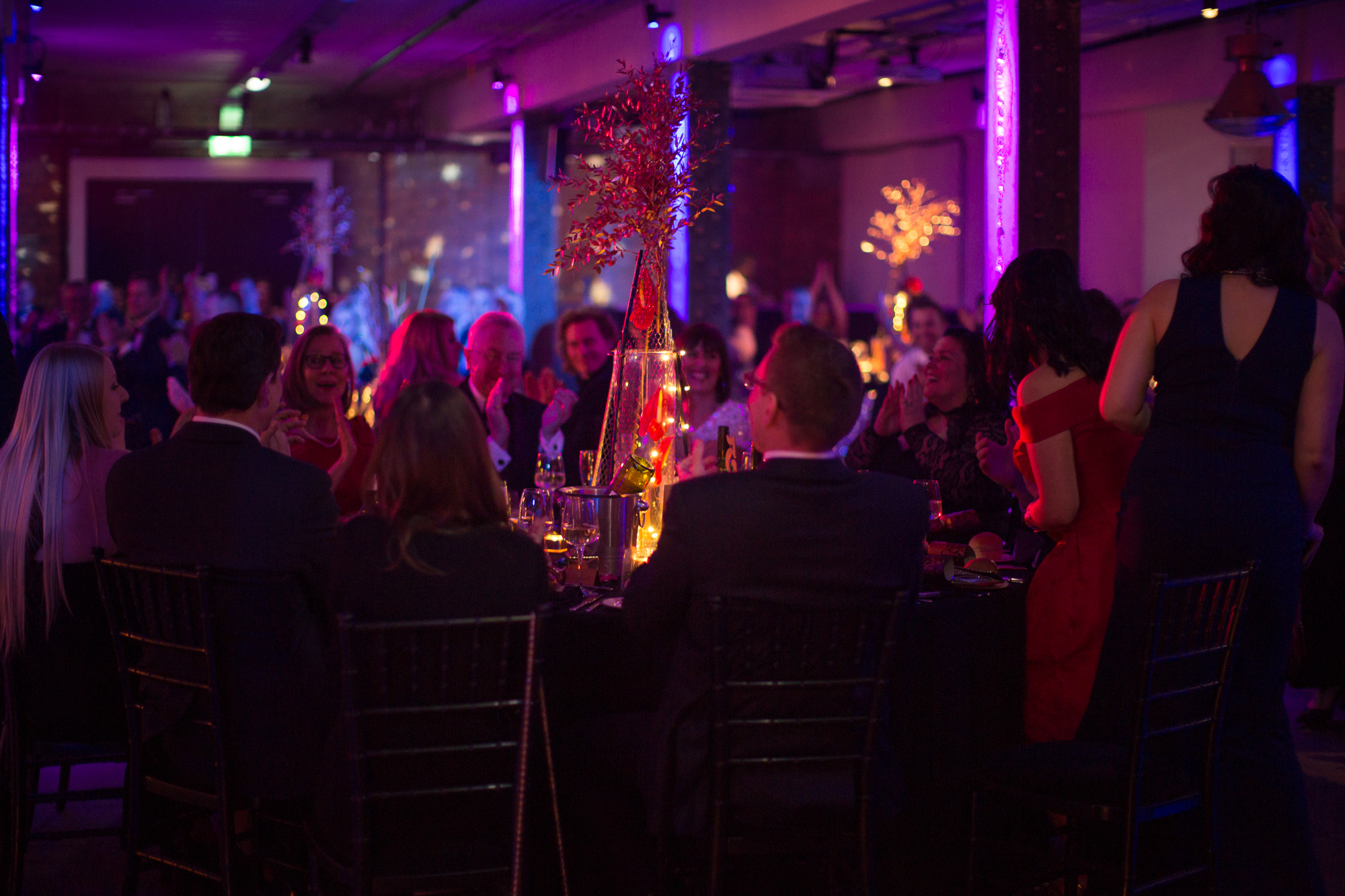 The Archives  - 4v1hzn50vgc.jpg