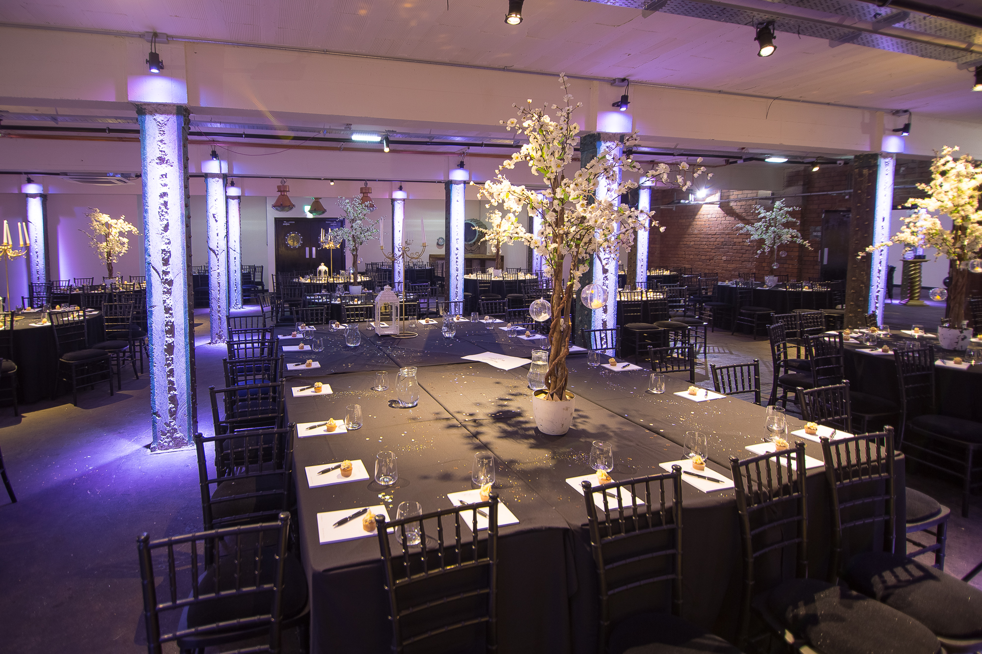 The Archives  - vjhe2tdevj2.jpg