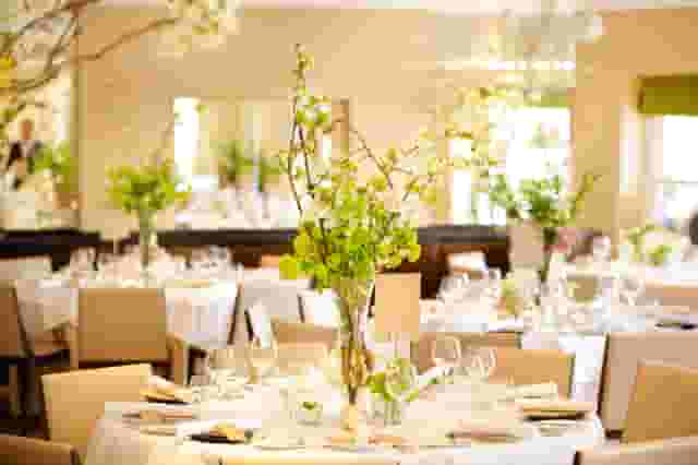 The Bingham