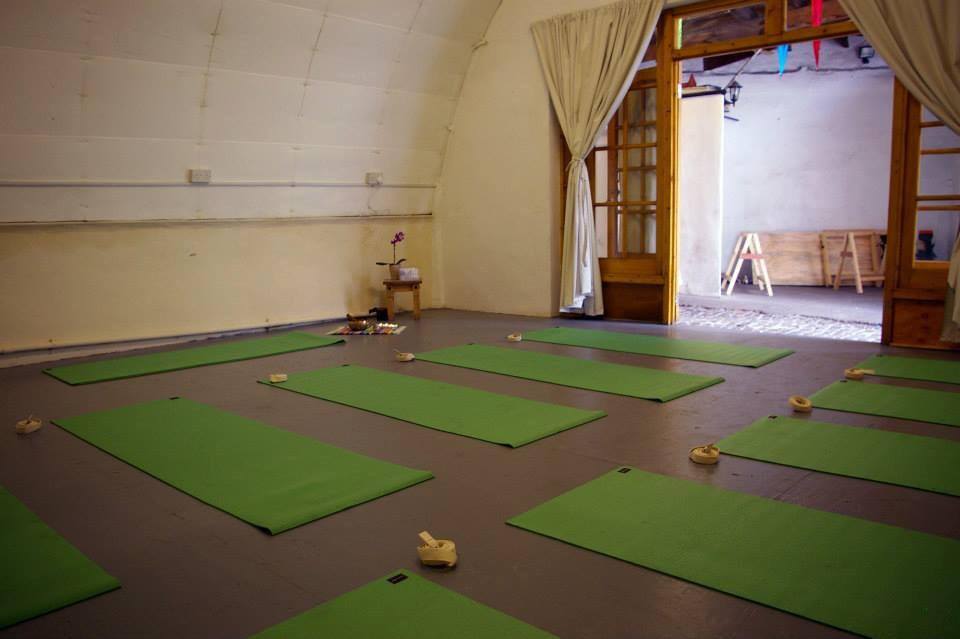 Serene yoga studio with green mats, ideal for wellness retreats and mindfulness workshops.