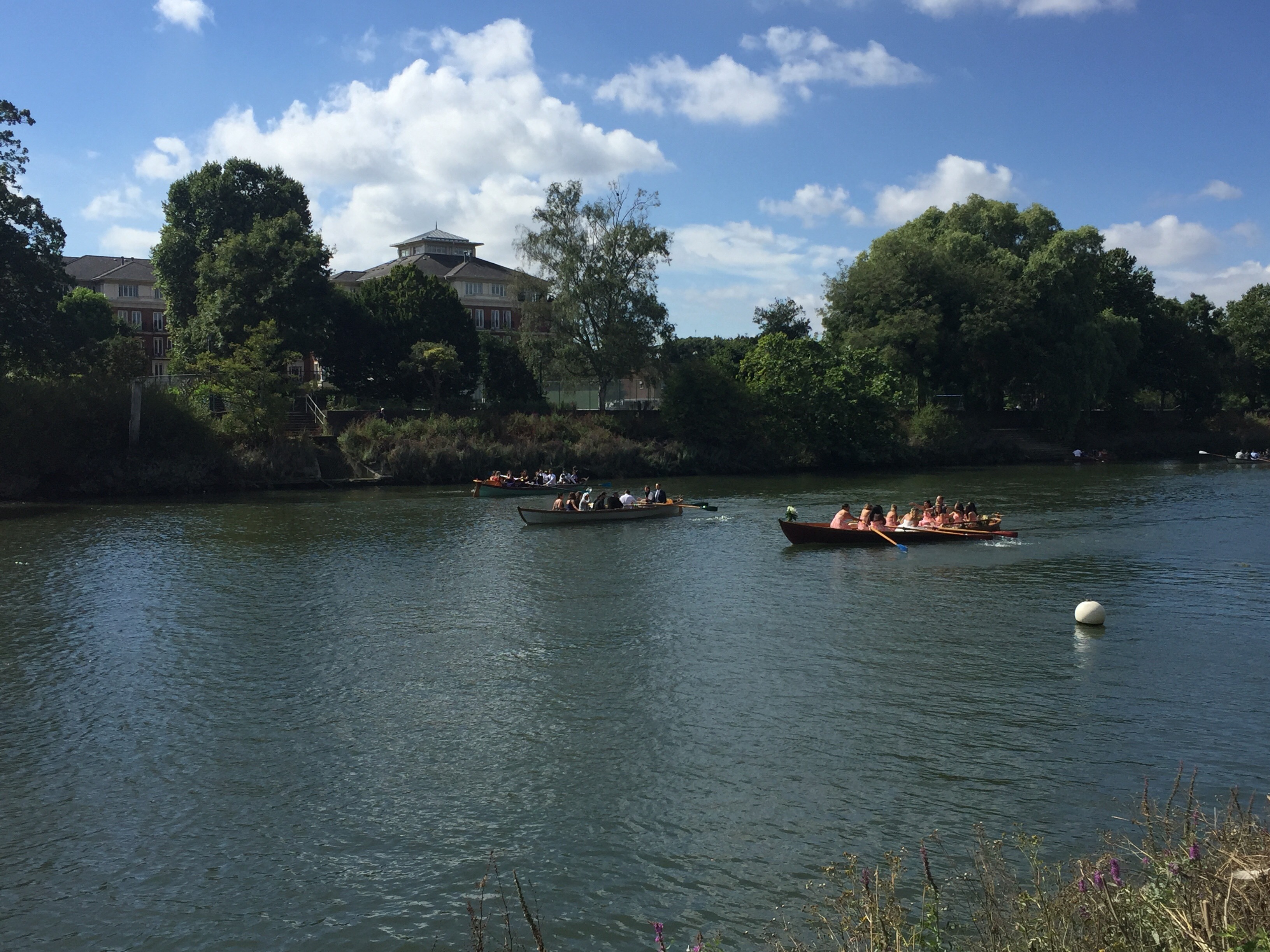 Terrace & Garden - hmo4ihc3cb5.jpeg