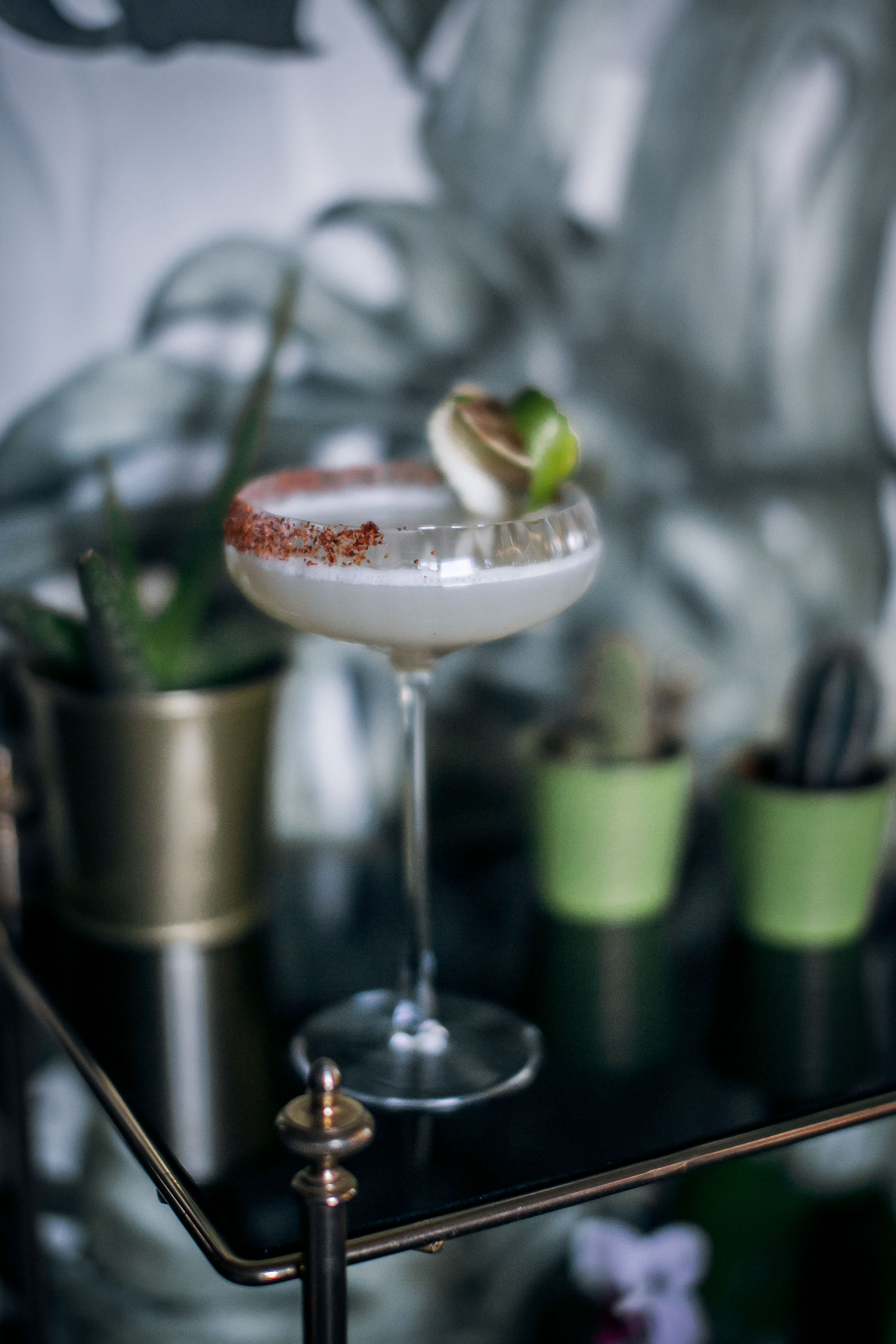 Tequila and Mezcal Parlour - qdu3qrz1xpz.jpg