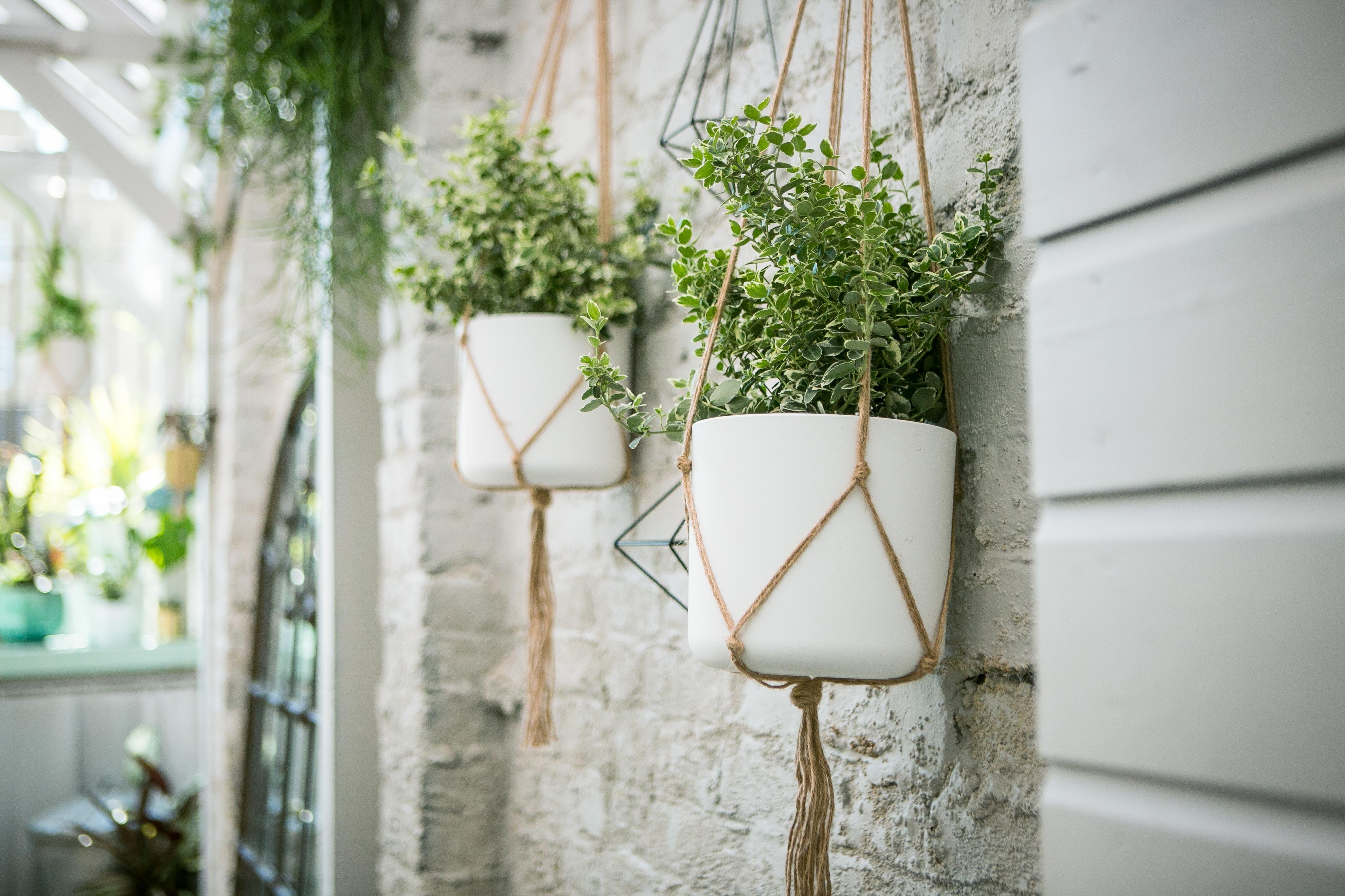 Al Fresco BBQ Garden with hanging planters, perfect for networking events and casual gatherings.