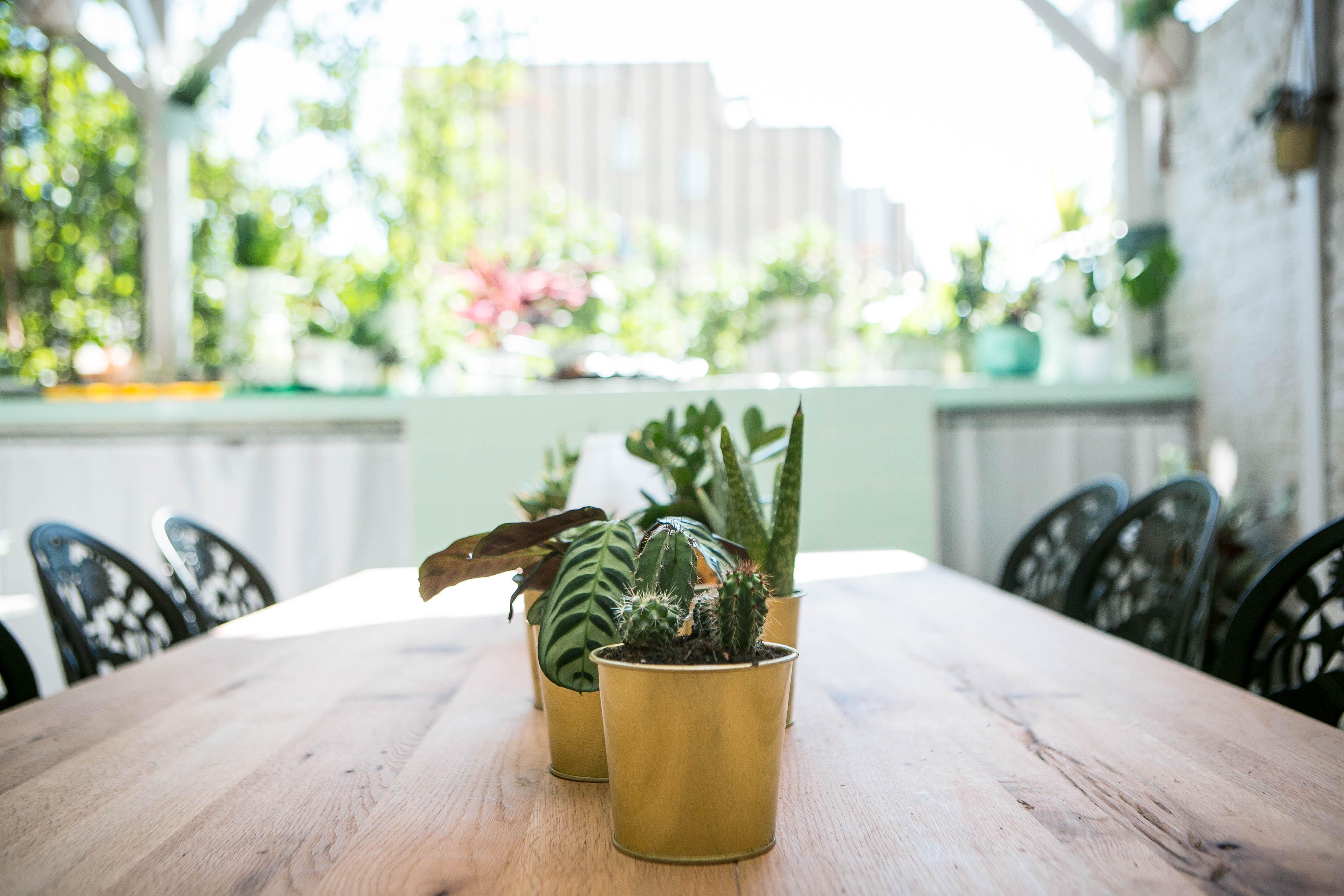 Al Fresco BBQ Garden with wooden table and greenery, perfect for meetings and events.
