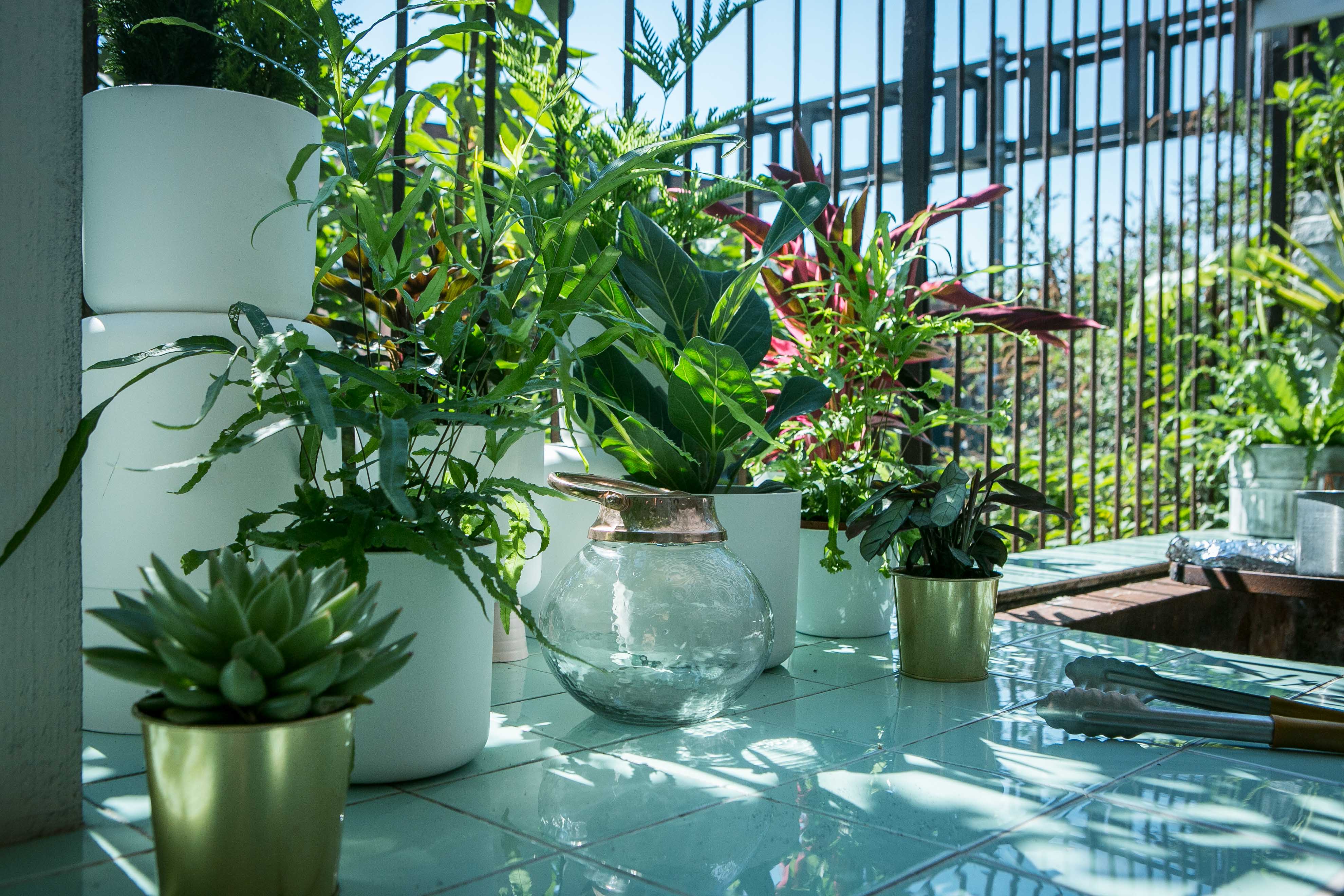 Al Fresco BBQ Garden with lush greenery, perfect for events and networking sessions.