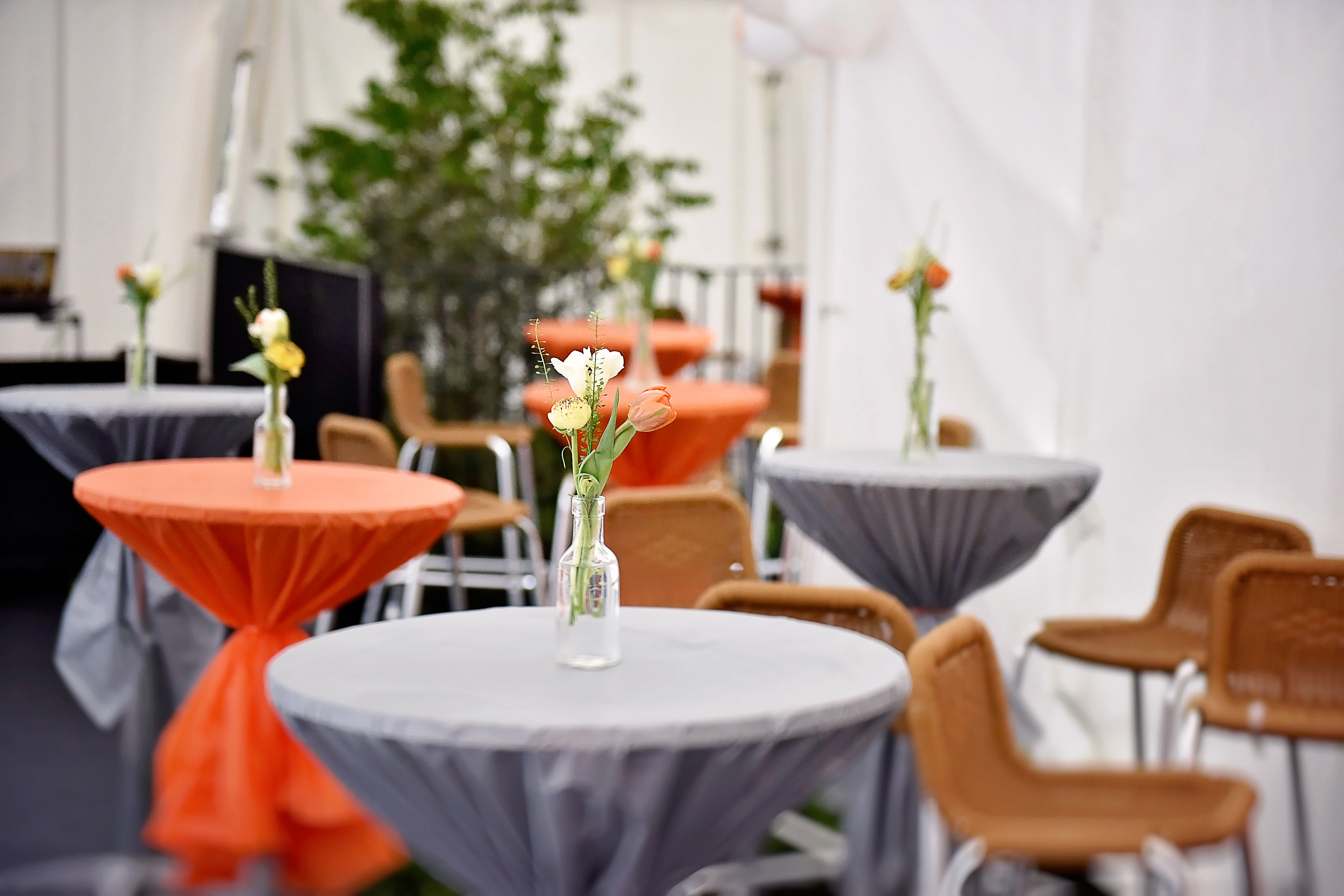 Garden Terrace  - vgxtt2rasxt.jpg