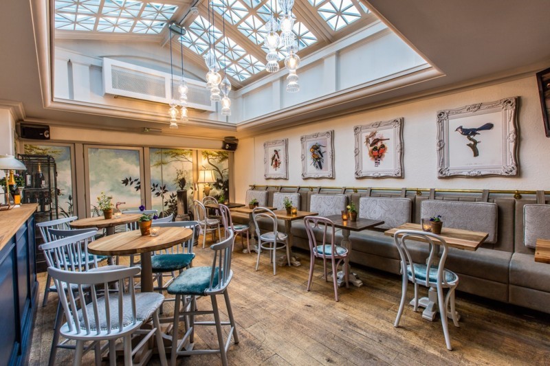 Semi-private aviary event space with skylight, perfect for meetings and workshops.