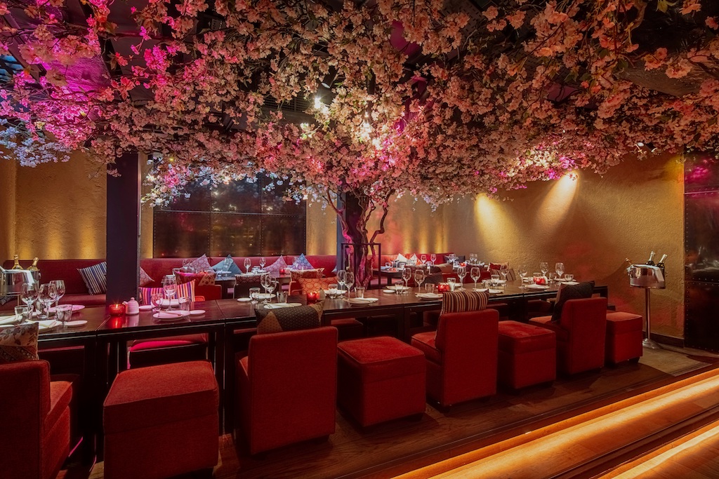 Elegant Shochu Lounge with cherry blossoms, perfect for upscale events and gatherings.