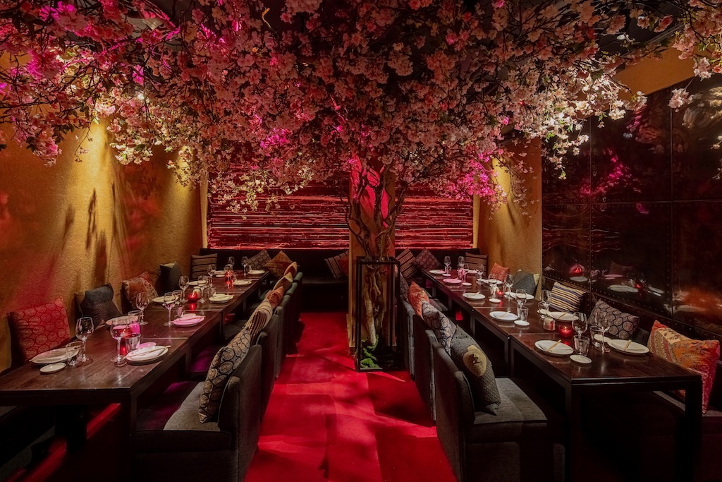 Elegant Shochu Lounge with blossom tree, perfect for upscale events and gatherings.