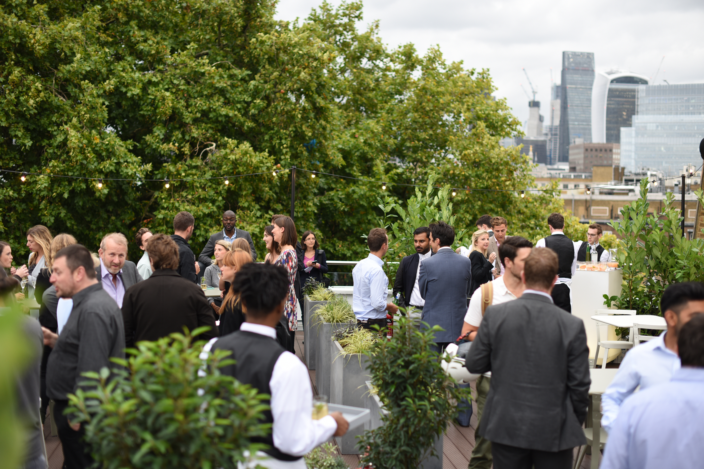 Roof Terrace  - ef5k1dxwsyu.jpg