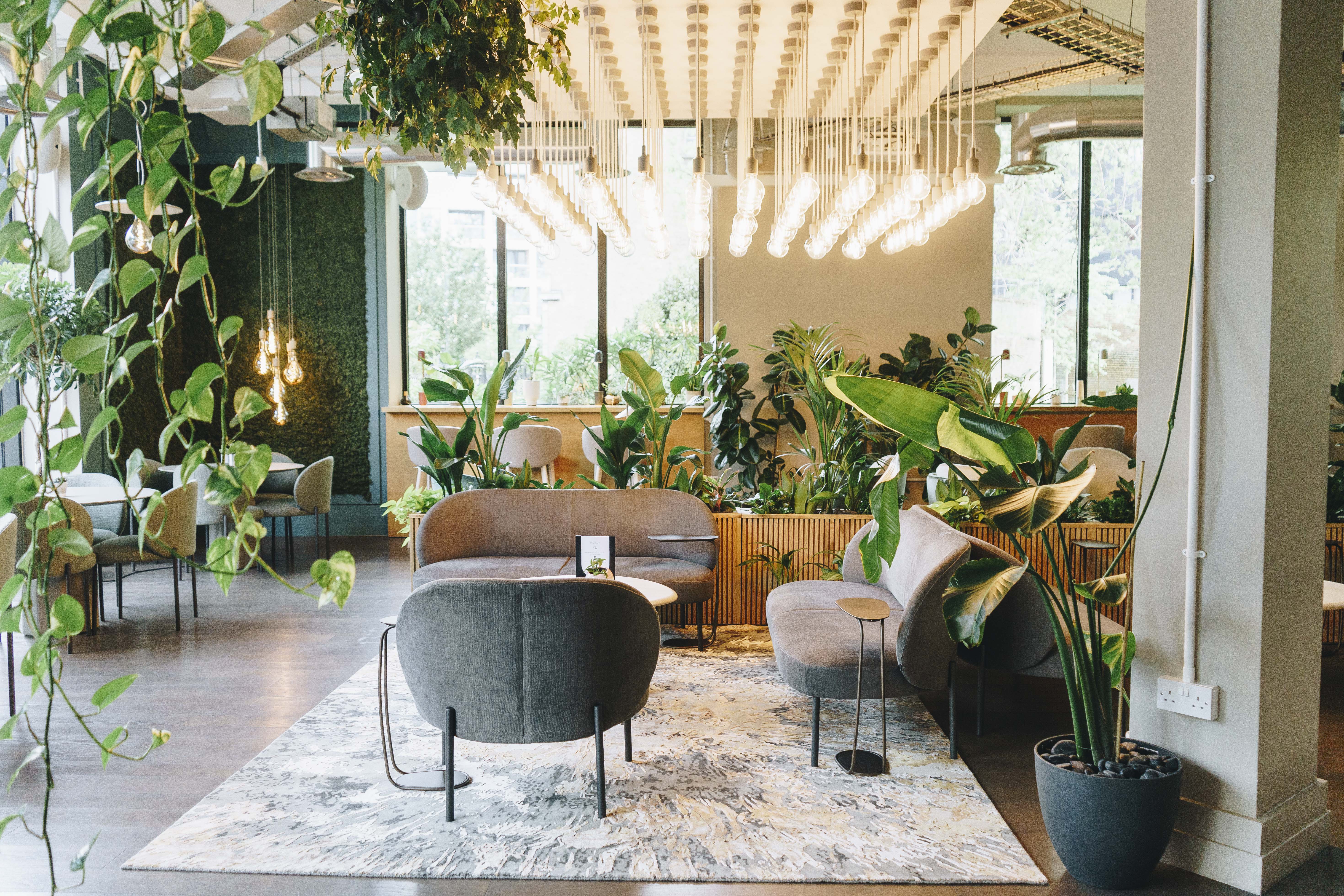 Cafe Lounge - gmoxskdg1br.jpg