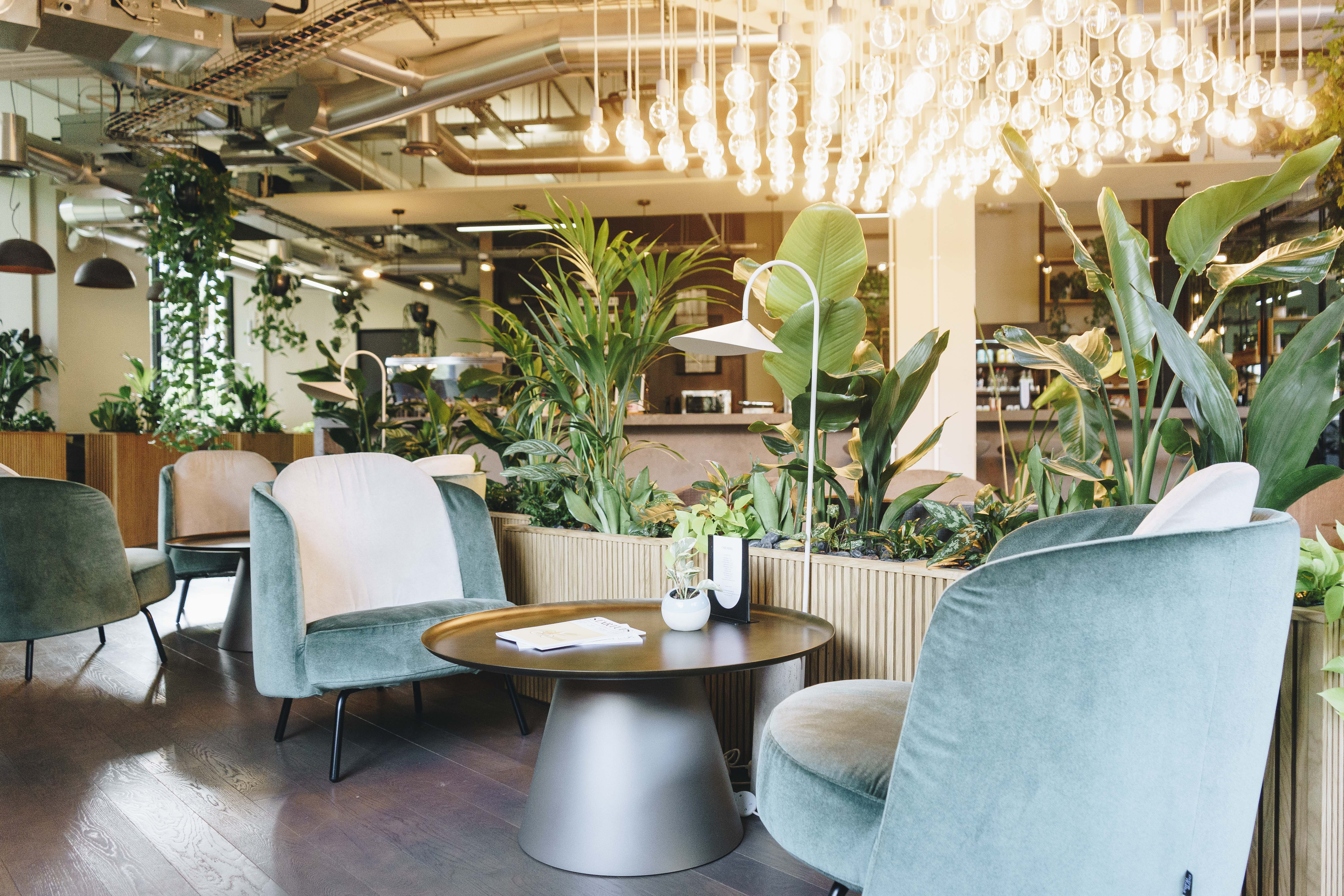 Cafe Lounge - ib5gf2vq4ll.jpg