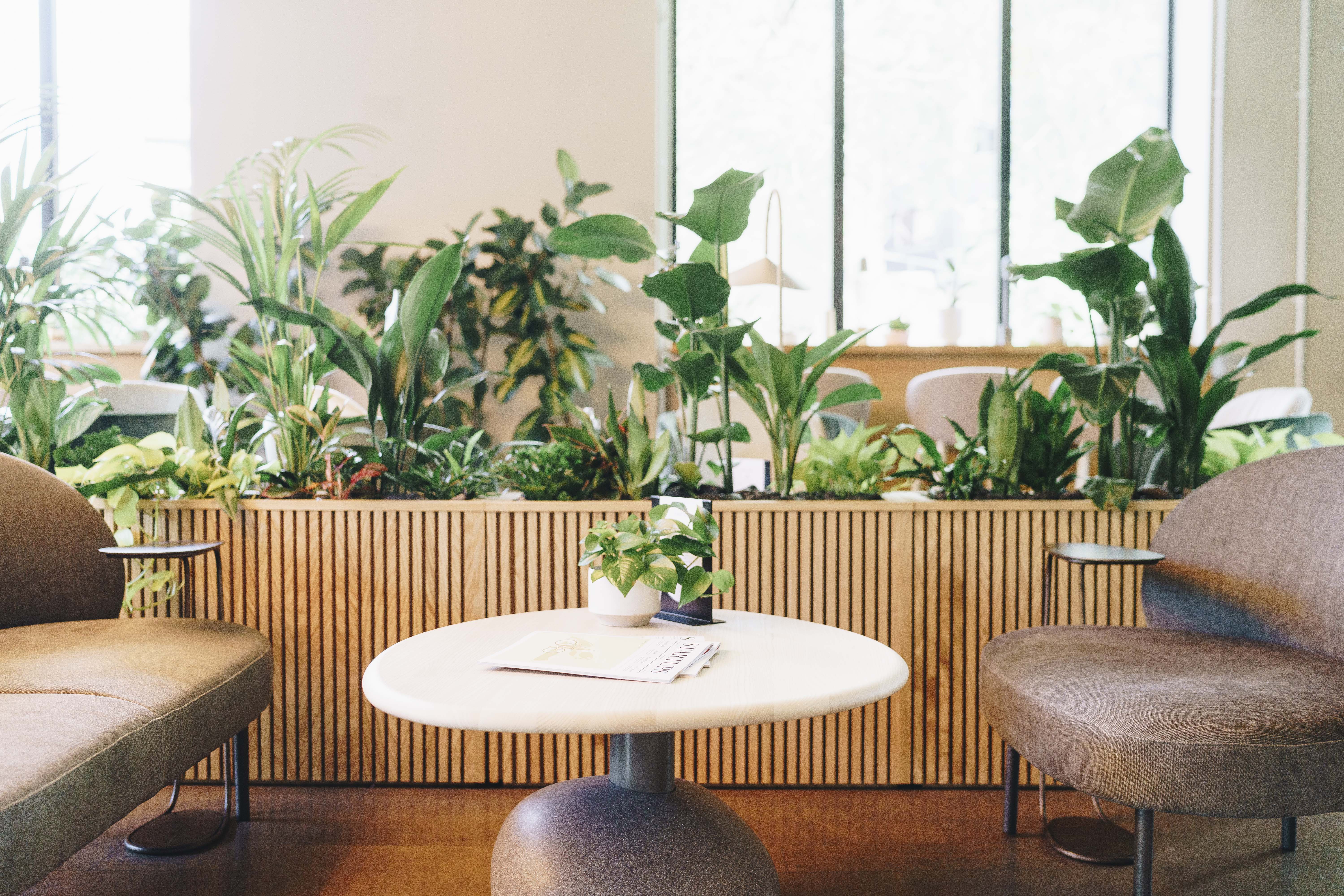 Cafe Lounge - jznqbtypkec.jpg