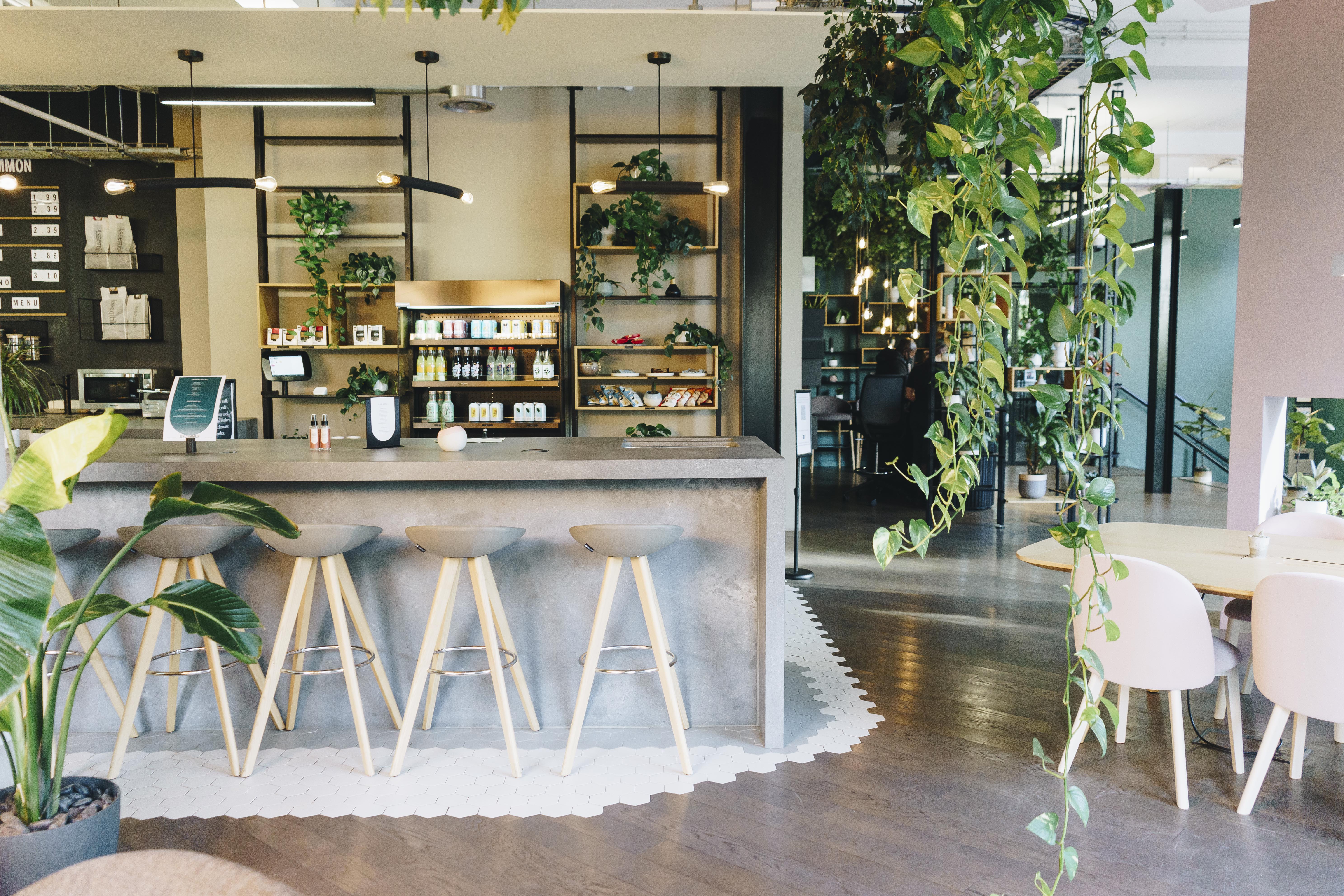 Modern Cafe Lounge in Uncommon Borough, ideal for meetings and events with natural light.