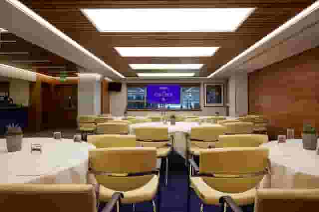 Vialli Suite