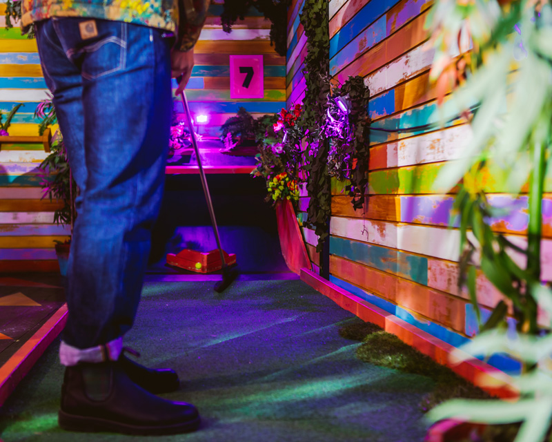 The Whole Course - lupll0a15vx.jpg