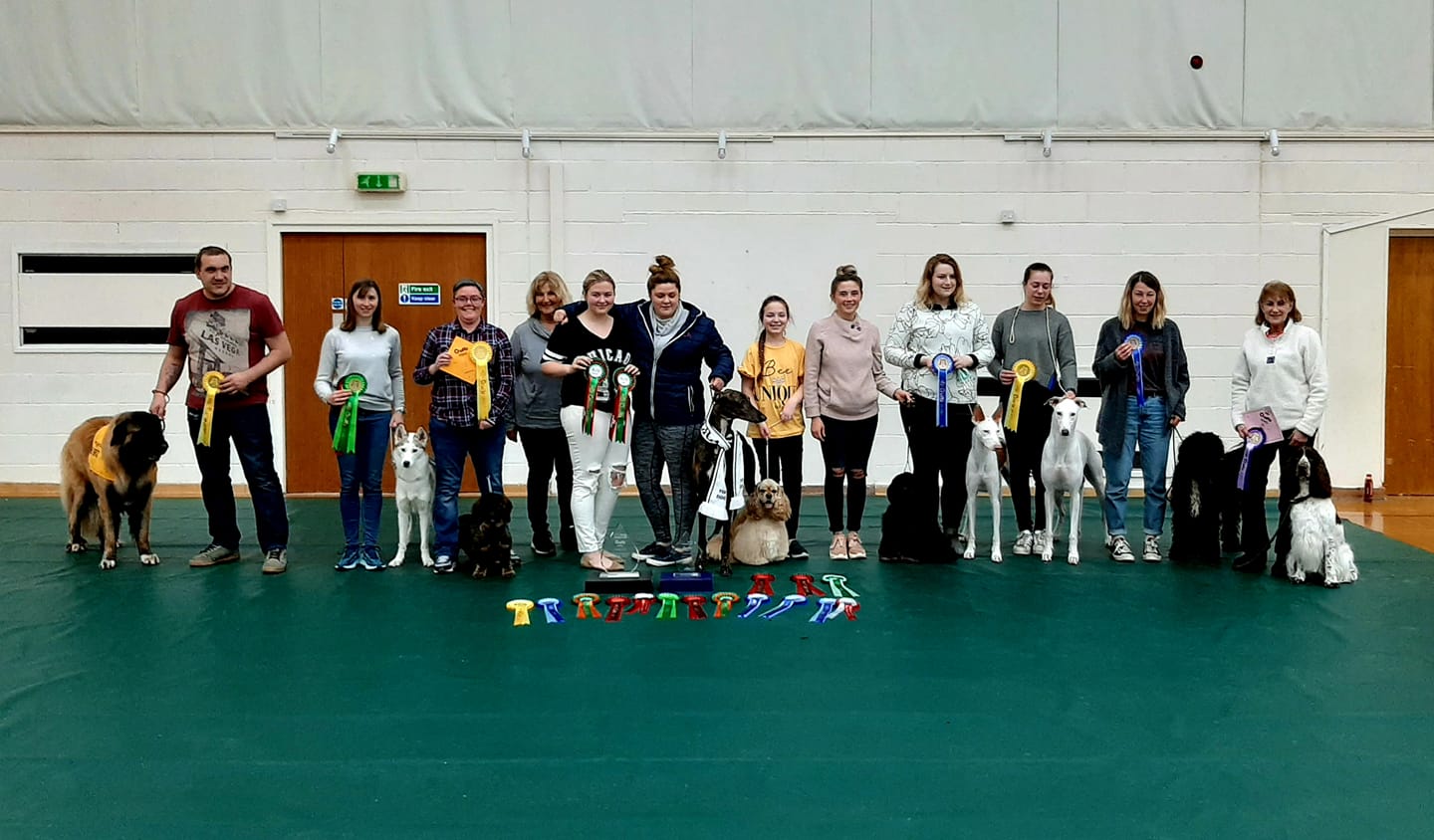 Participants showcase dogs and awards at Wickham Community Centre dog show event.