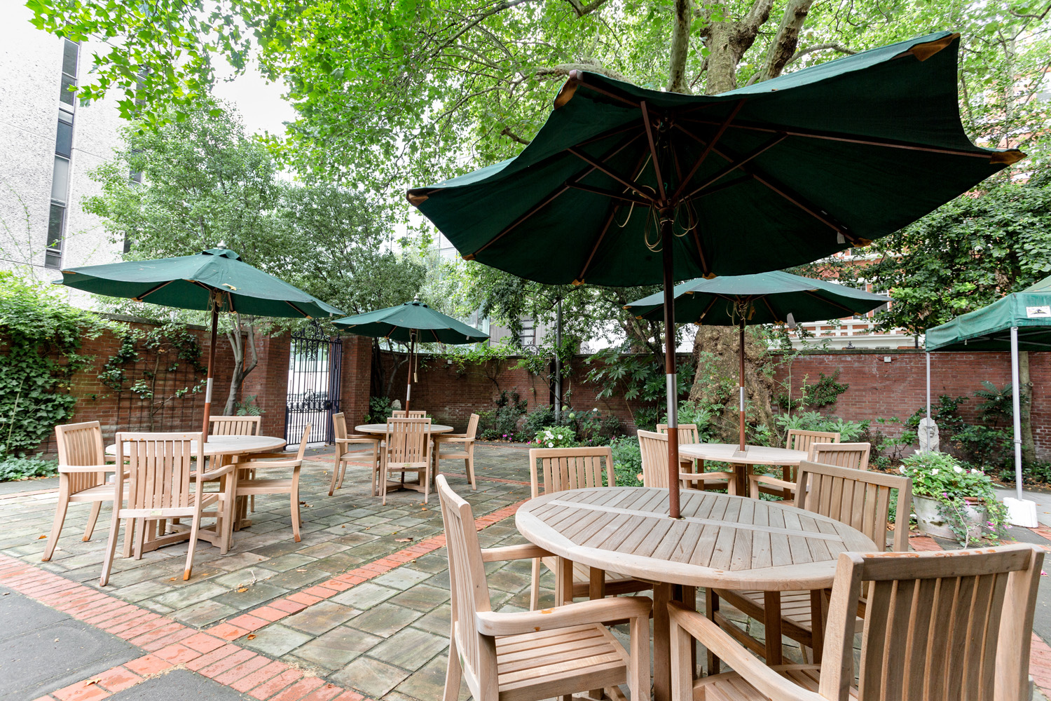 The Solar Room & Garden  - i4ftzt4352p.JPG