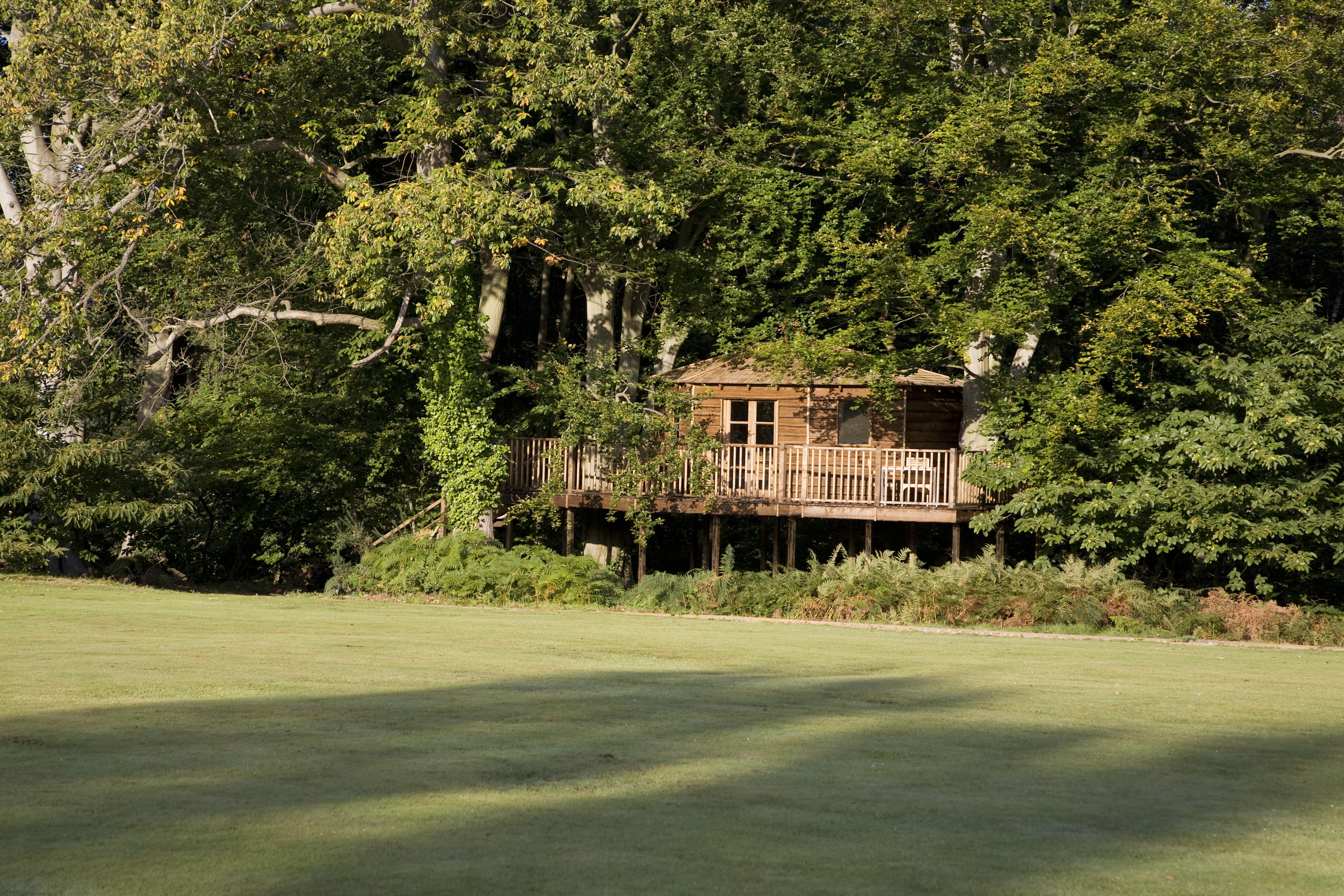 Rustic Treehouse venue in Hampshire, perfect for retreats and team-building events.