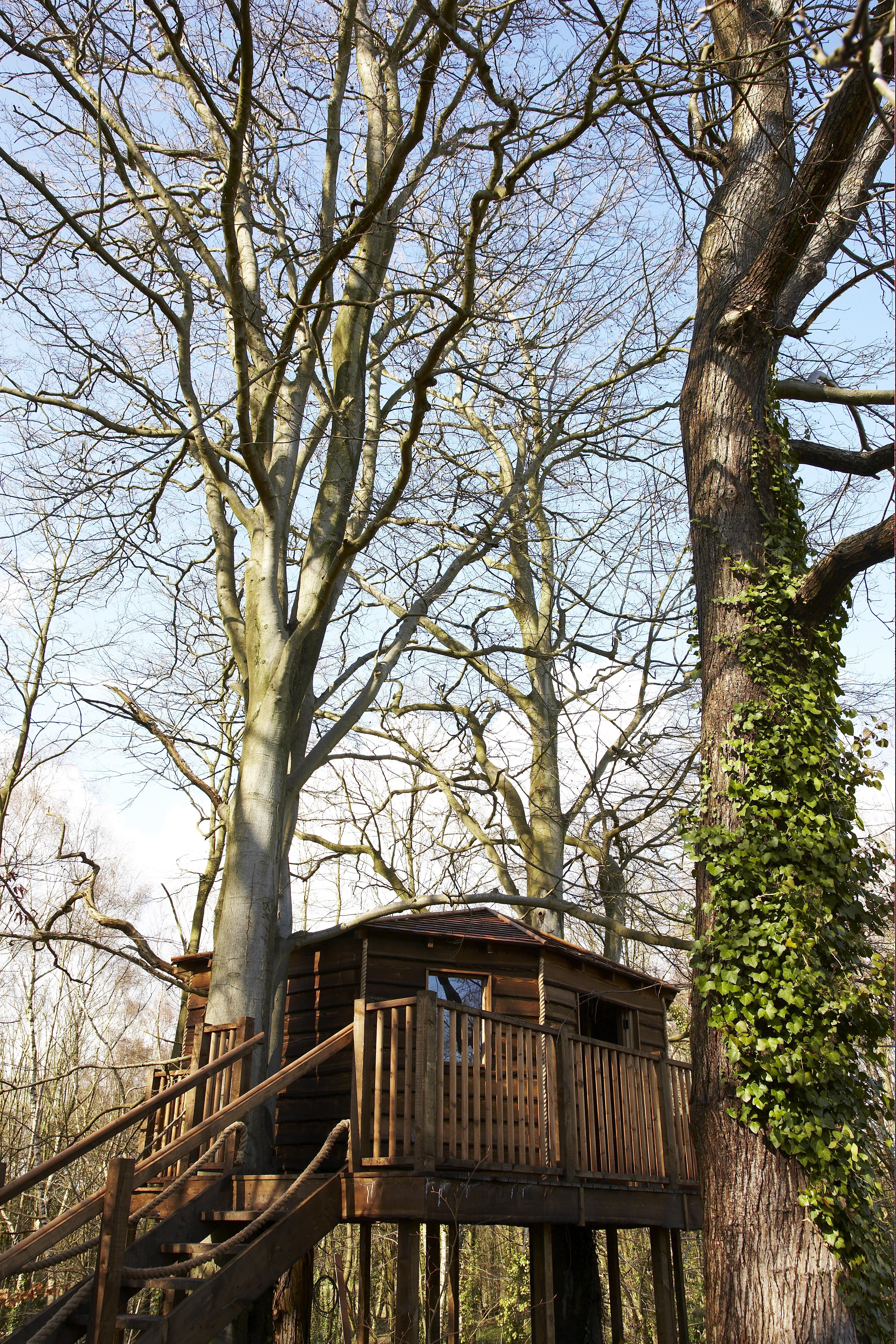 Treehouse at New Place Hotel, rustic venue for retreats and team-building events.