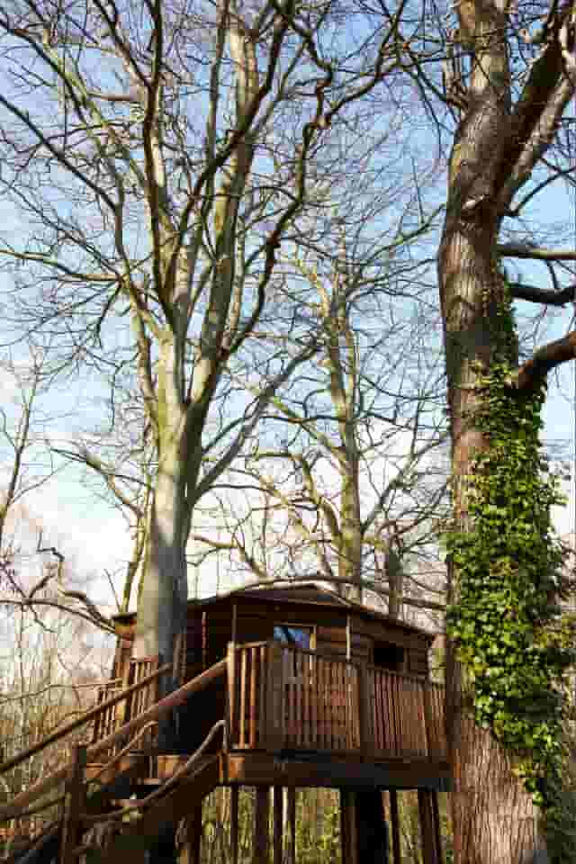 The Treehouse