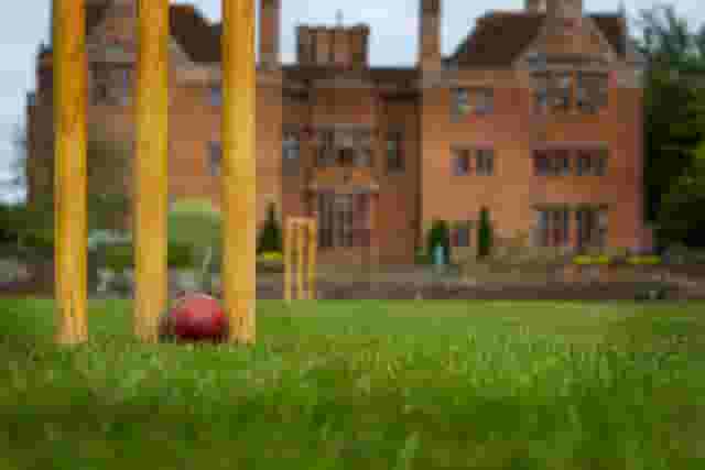 The Cricket Pitch
