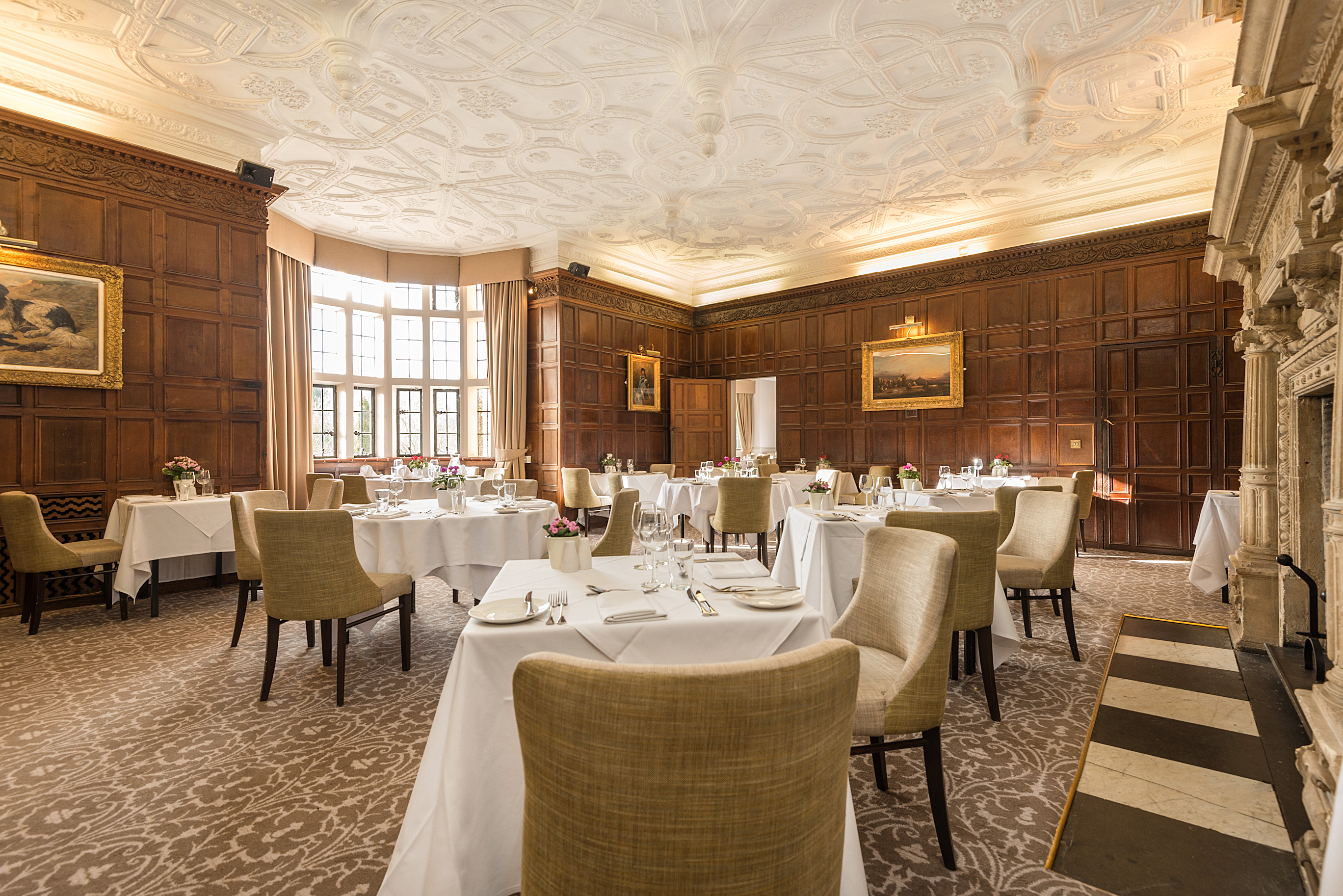 The Bristol Room - oocbzpy0hlq.jpg