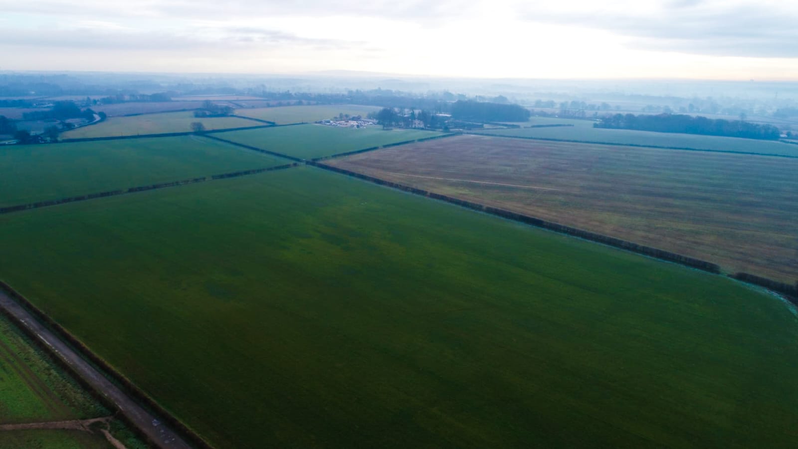 Showground - tjochjrwh2e.jpg