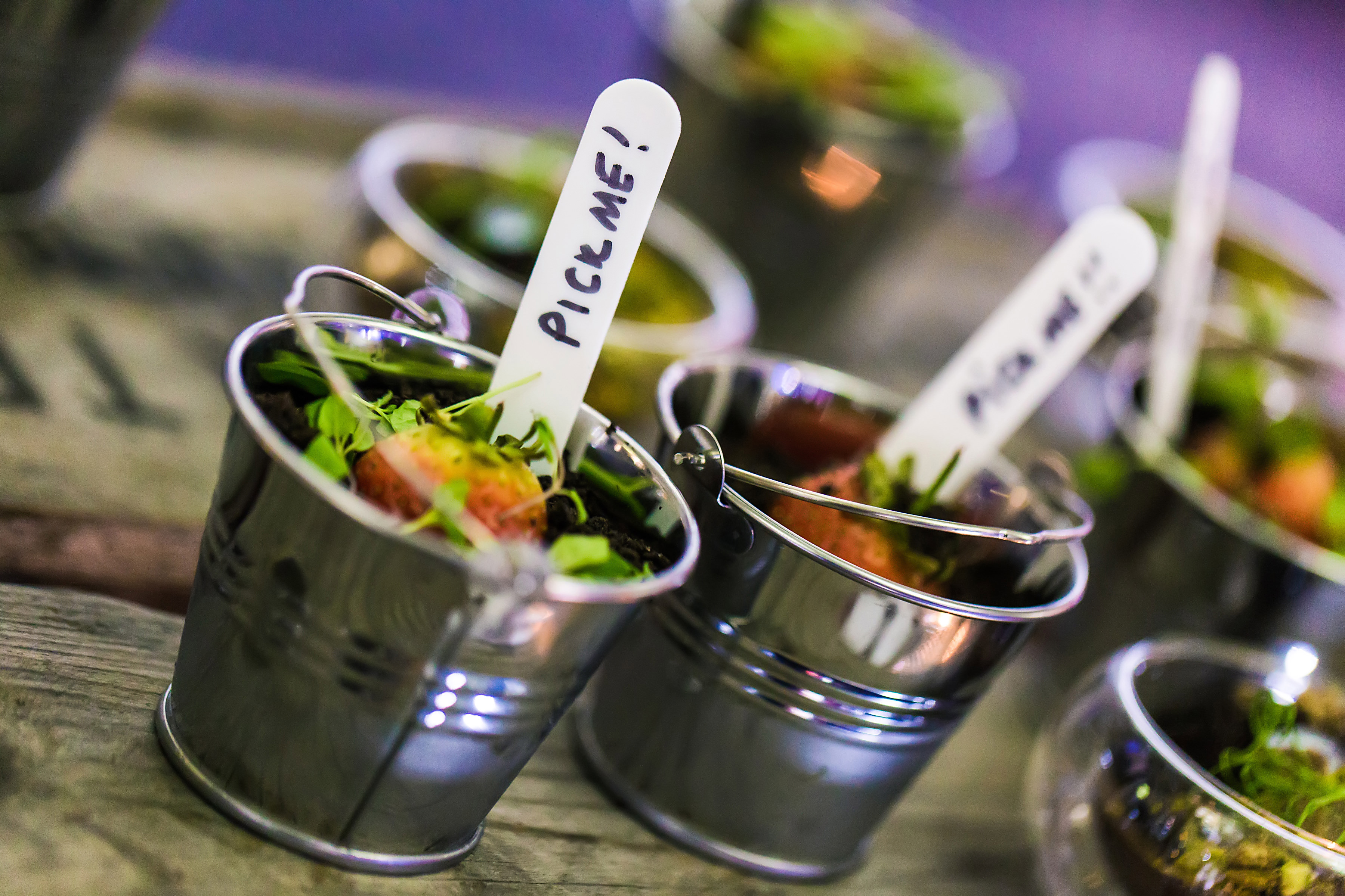 Charming mini buckets of greens with "Pick Me!" signs at The Sheridan event space.