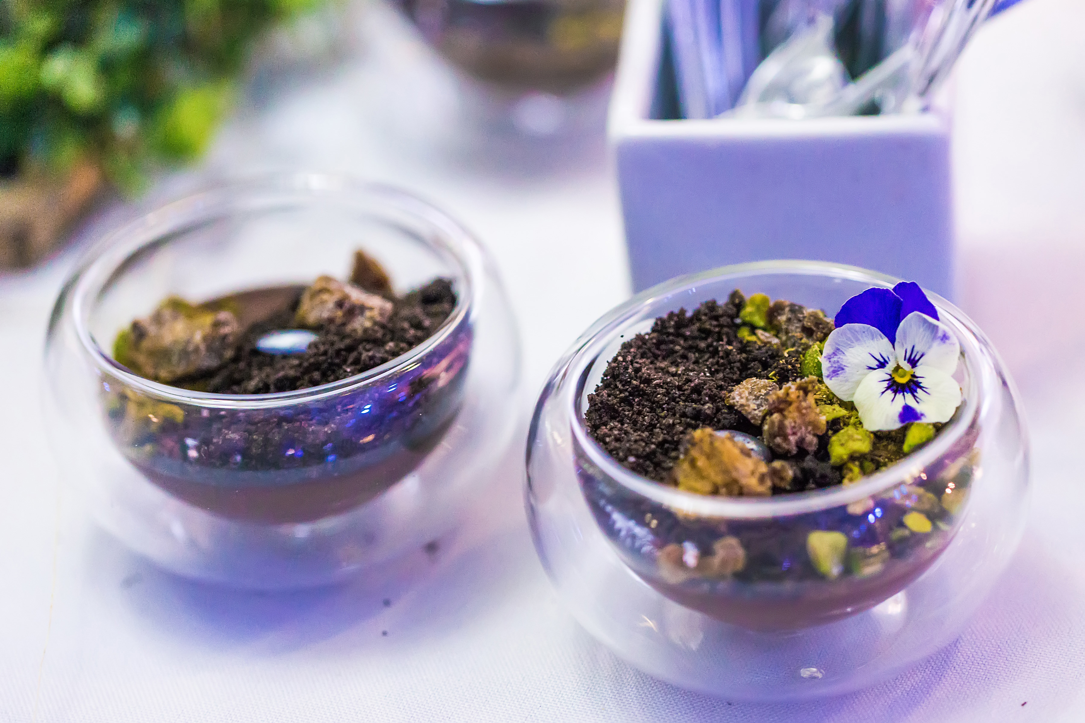 Elegant dessert cups with chocolate base for event catering at The Sheridan.