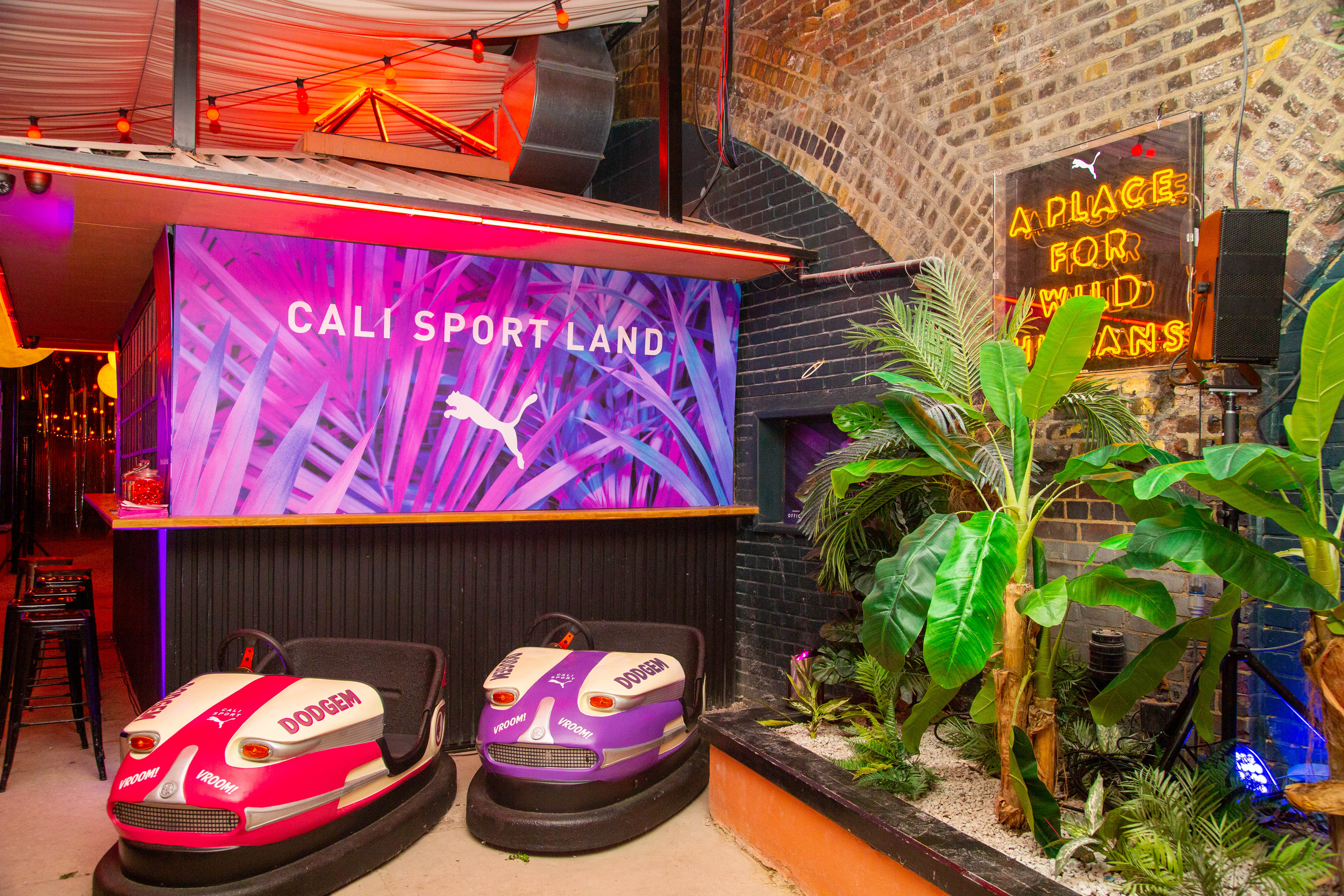 Exclusive Venue Hire - ecjf34lrg3t.jpg