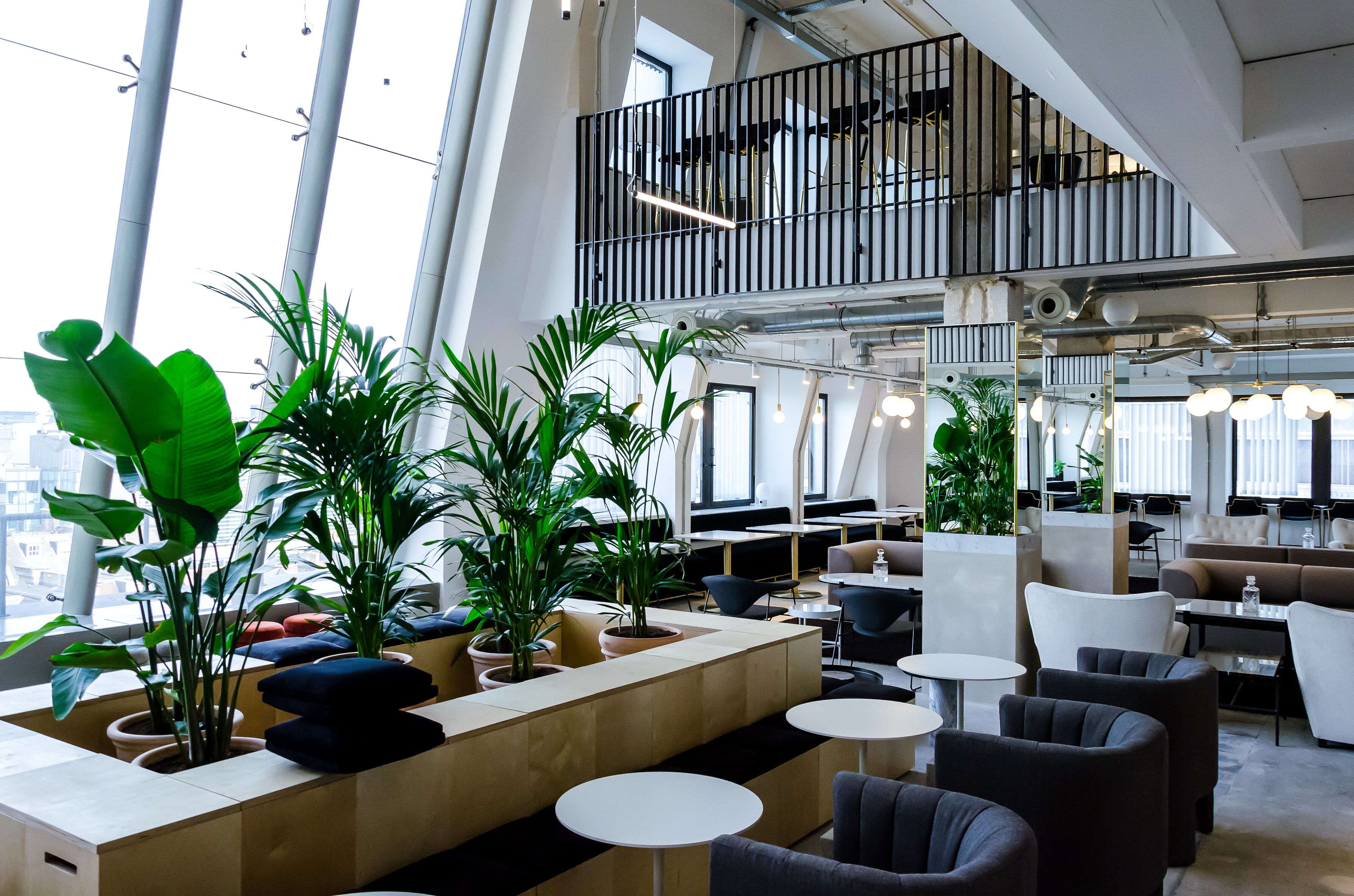 7th Floor  - frdlfafvr32.jpeg