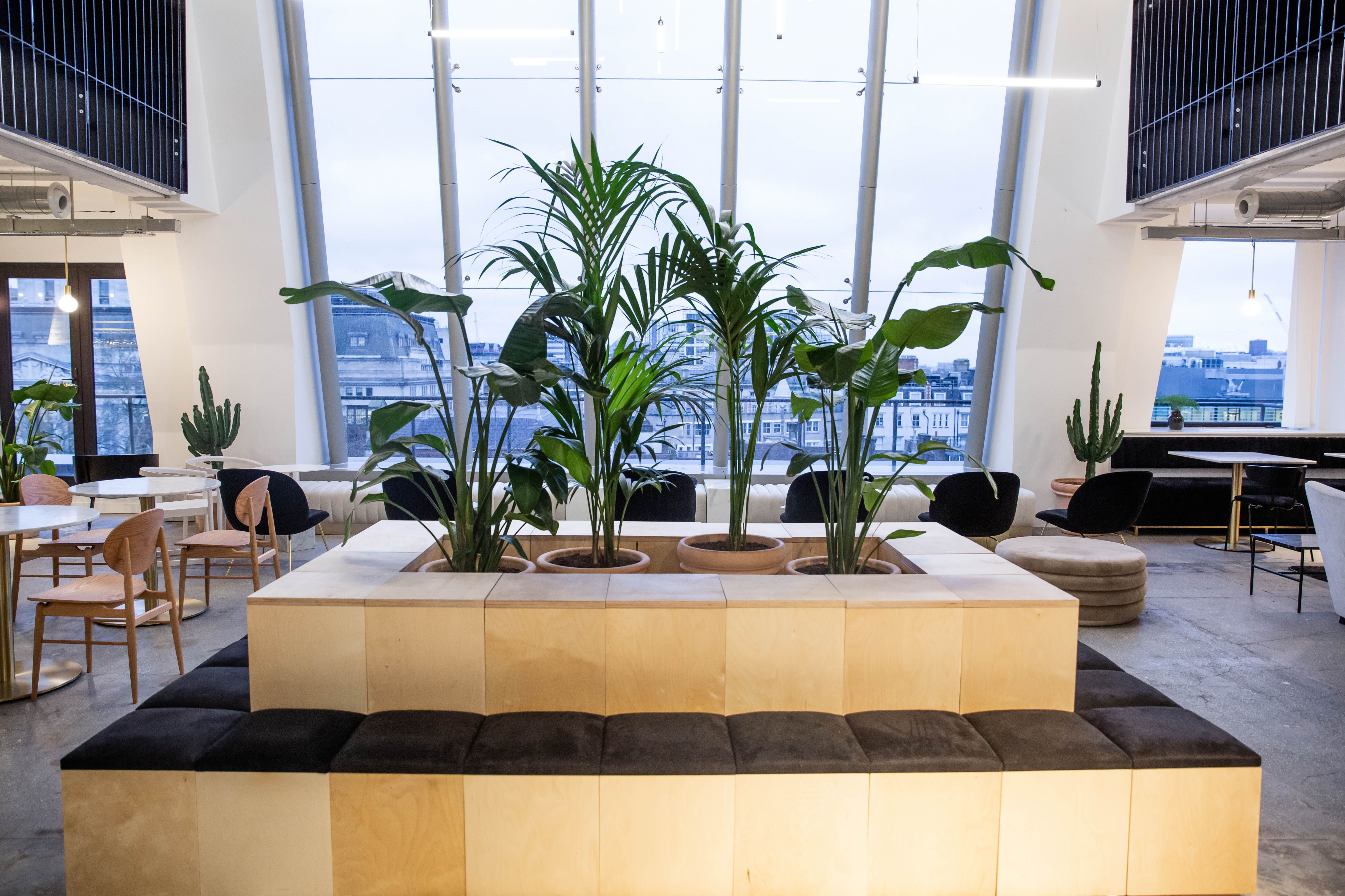 7th Floor  - ssj3tsqghrf.jpeg