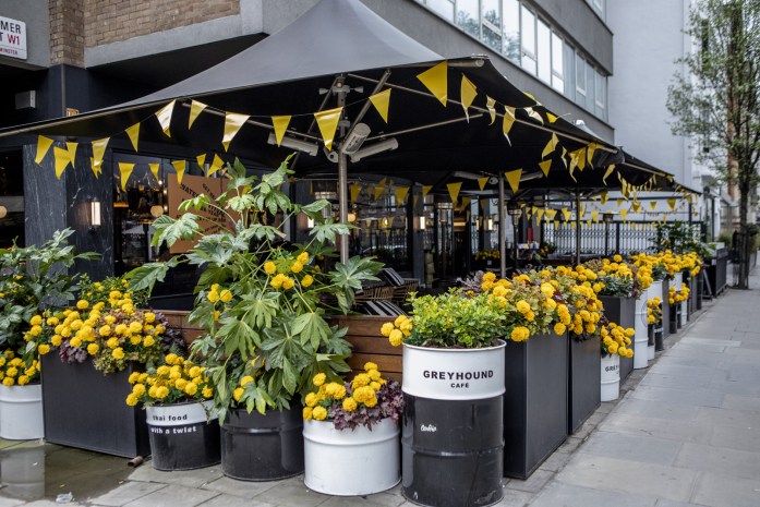 Vibrant outdoor event space at The Greyhound Cafe with yellow flowers and bunting.