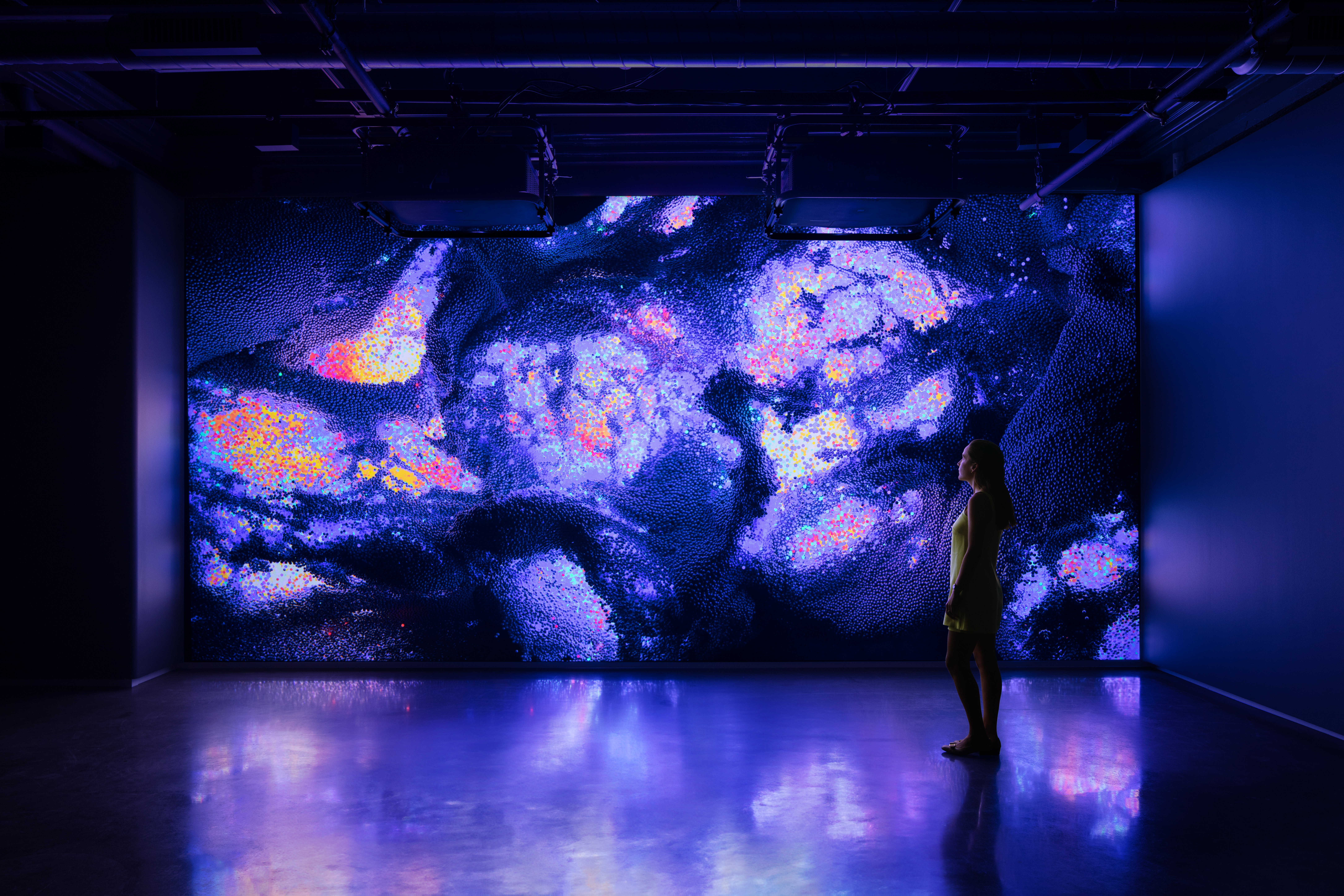 Brand Takeover Space - 709faf05-72a0-46b7-9392-ef7ba708dee1.jpg