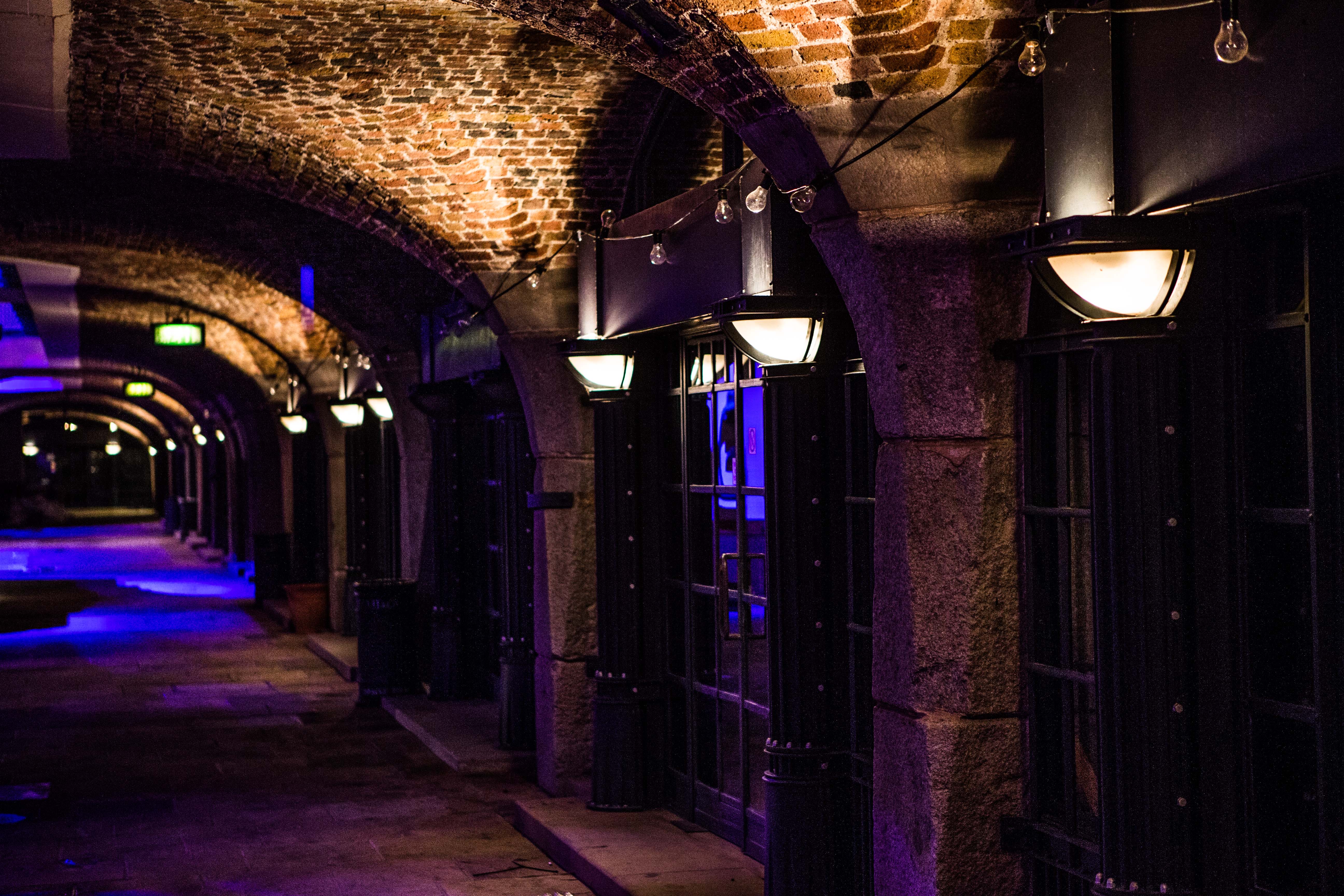 North & South Vaults - gkwyvikyg21.jpg