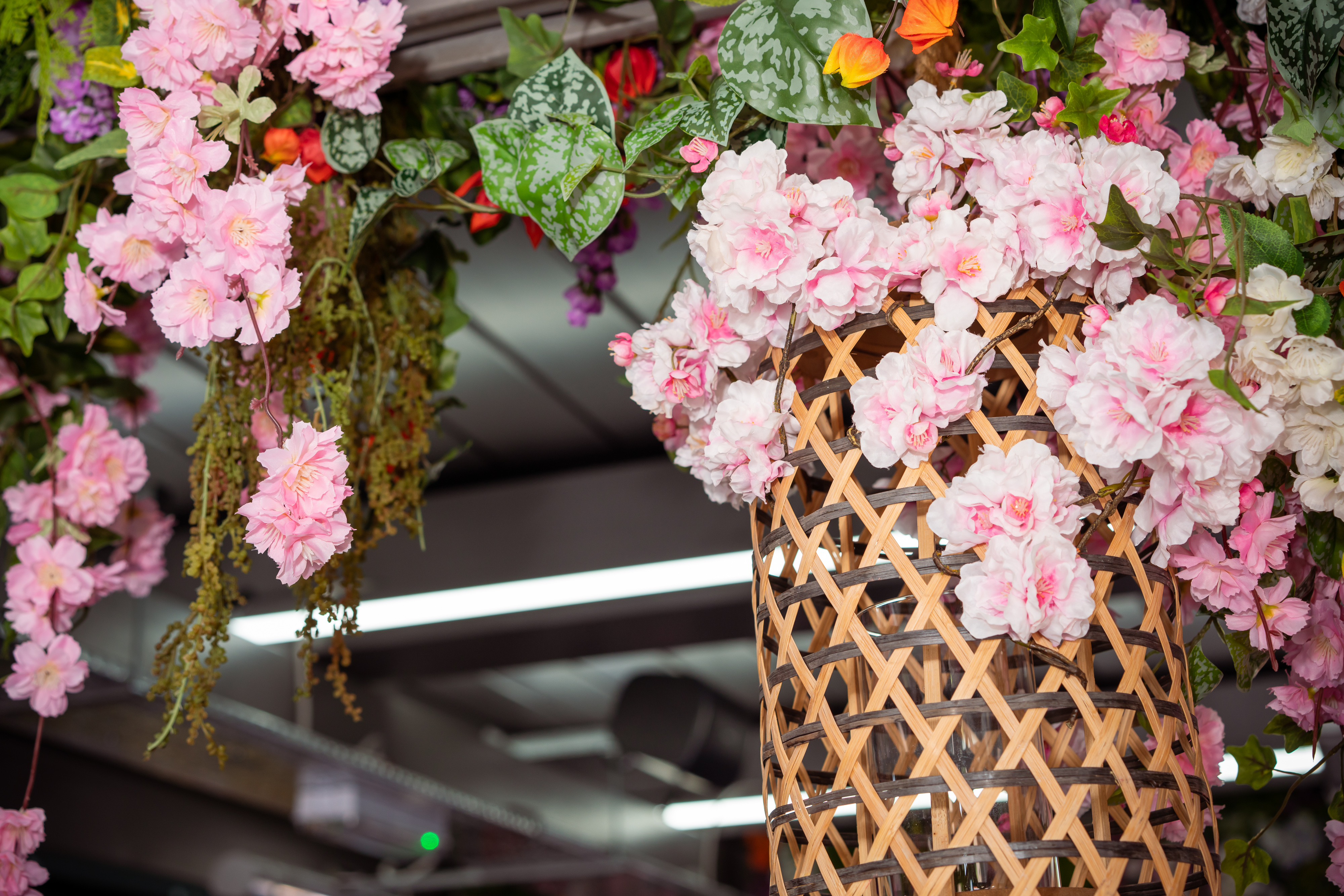 Cherry Blossom Private Terrace with pink blossoms, perfect for weddings and garden events.